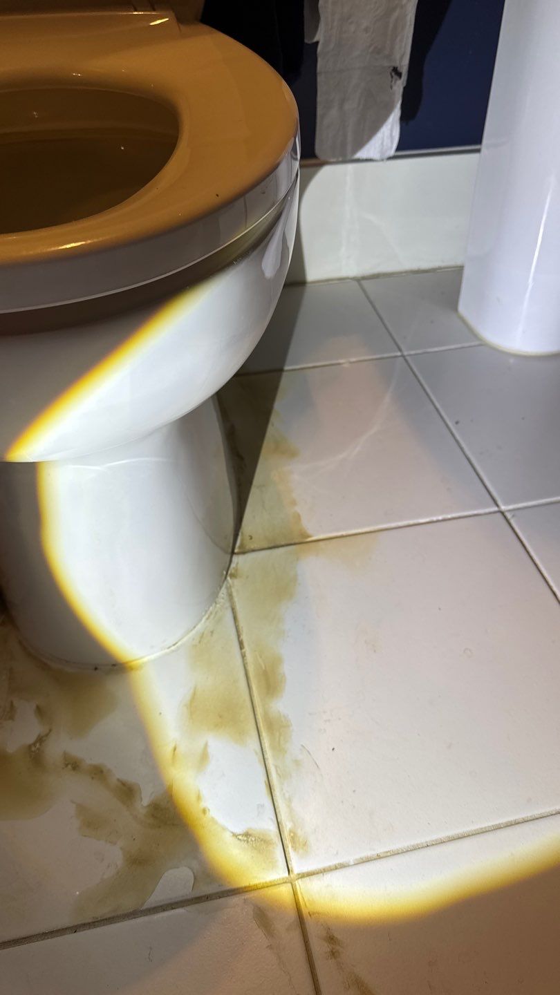 Mold Project in Englewood by Accountable Home Services
