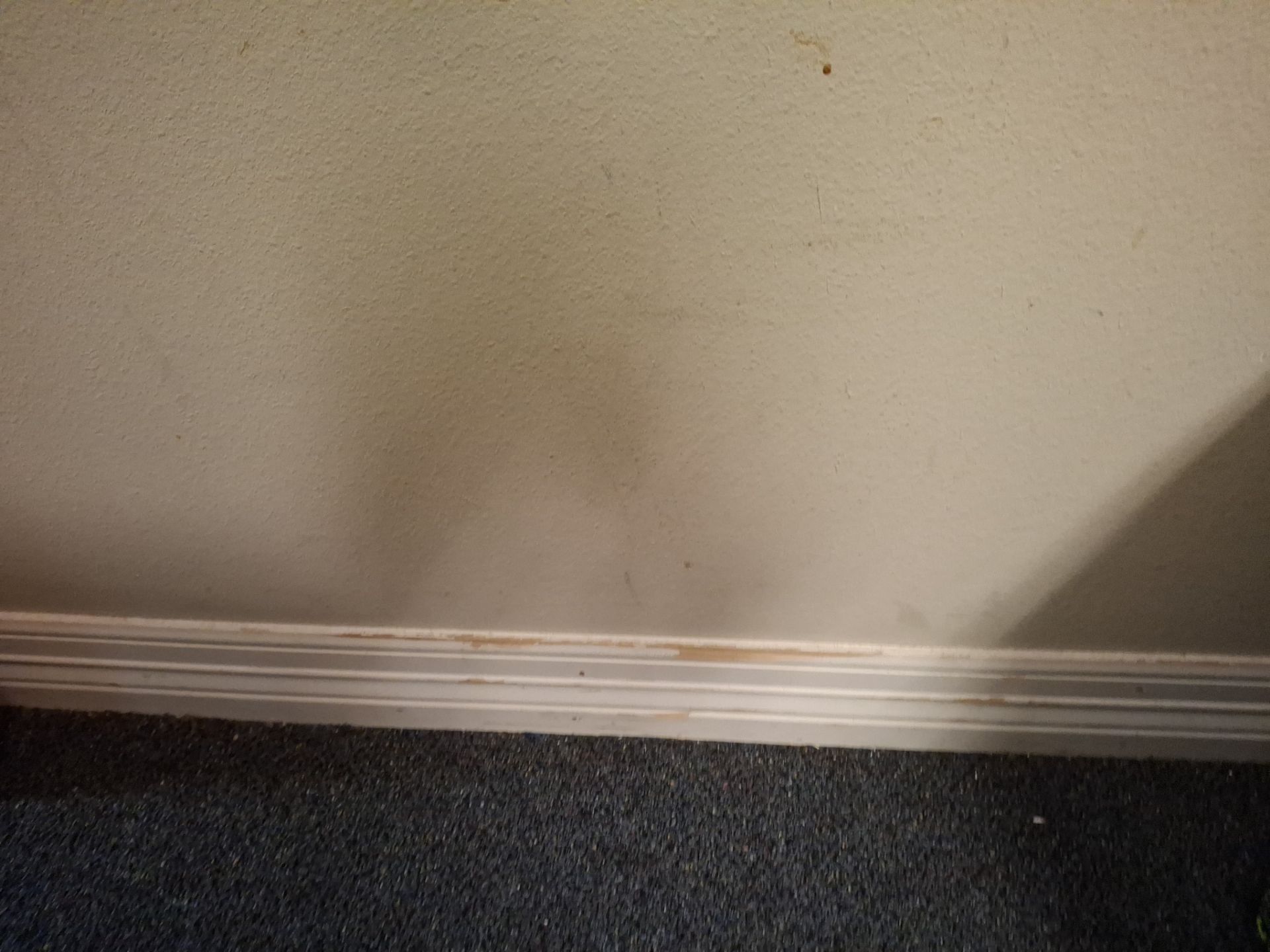 Commercial Interior Painting at KYKX 105.7 in Longview, TX by Quality Coats Painting