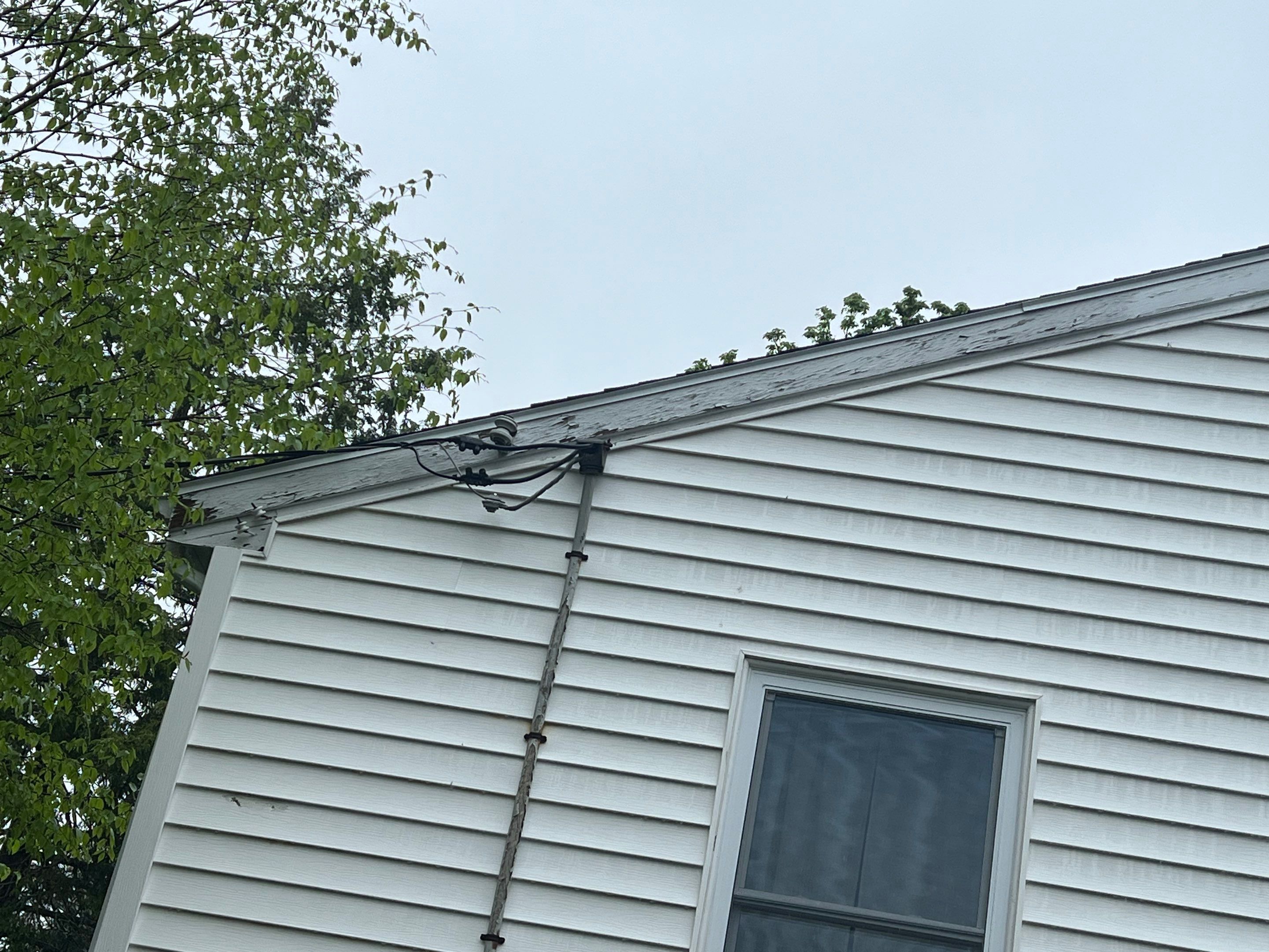 Gutters & Roofing | Acton by Mighty Dog Roofing of Greater Middlesex County