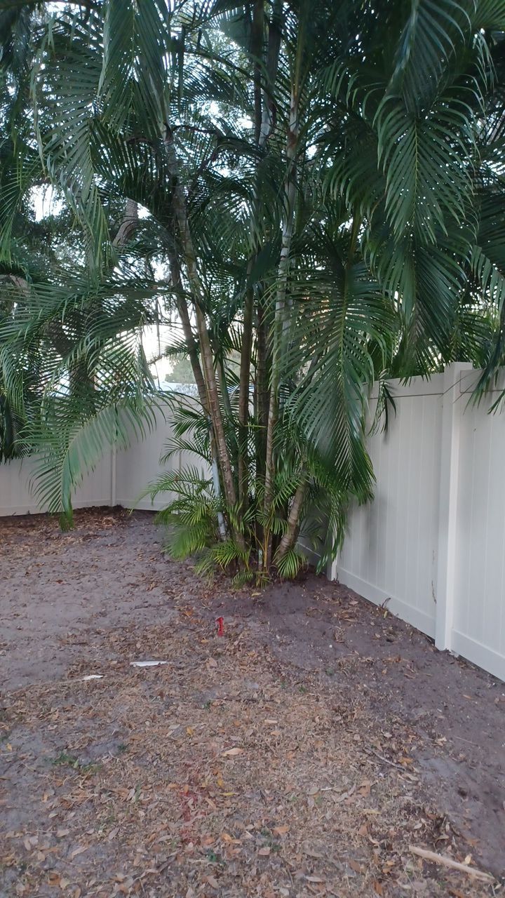 Sarasota, FL 6ft. Tall Tan Vinyl Privacy Fence  by Asap fence and gates, LLC