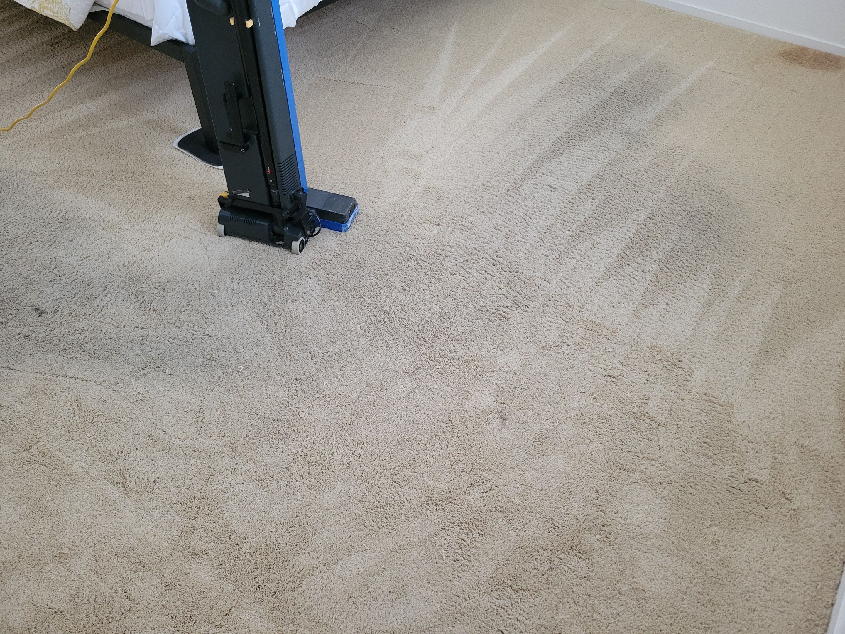 Carpet Re-stretching and Cleaning by Ardent Carpet Restore LLC