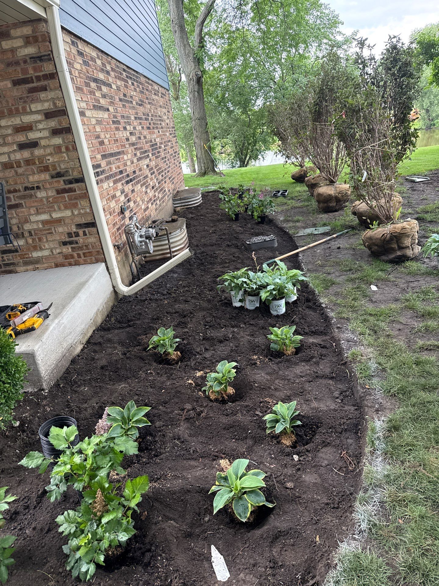Alicia S. - Arlington Heights, IL by A&N