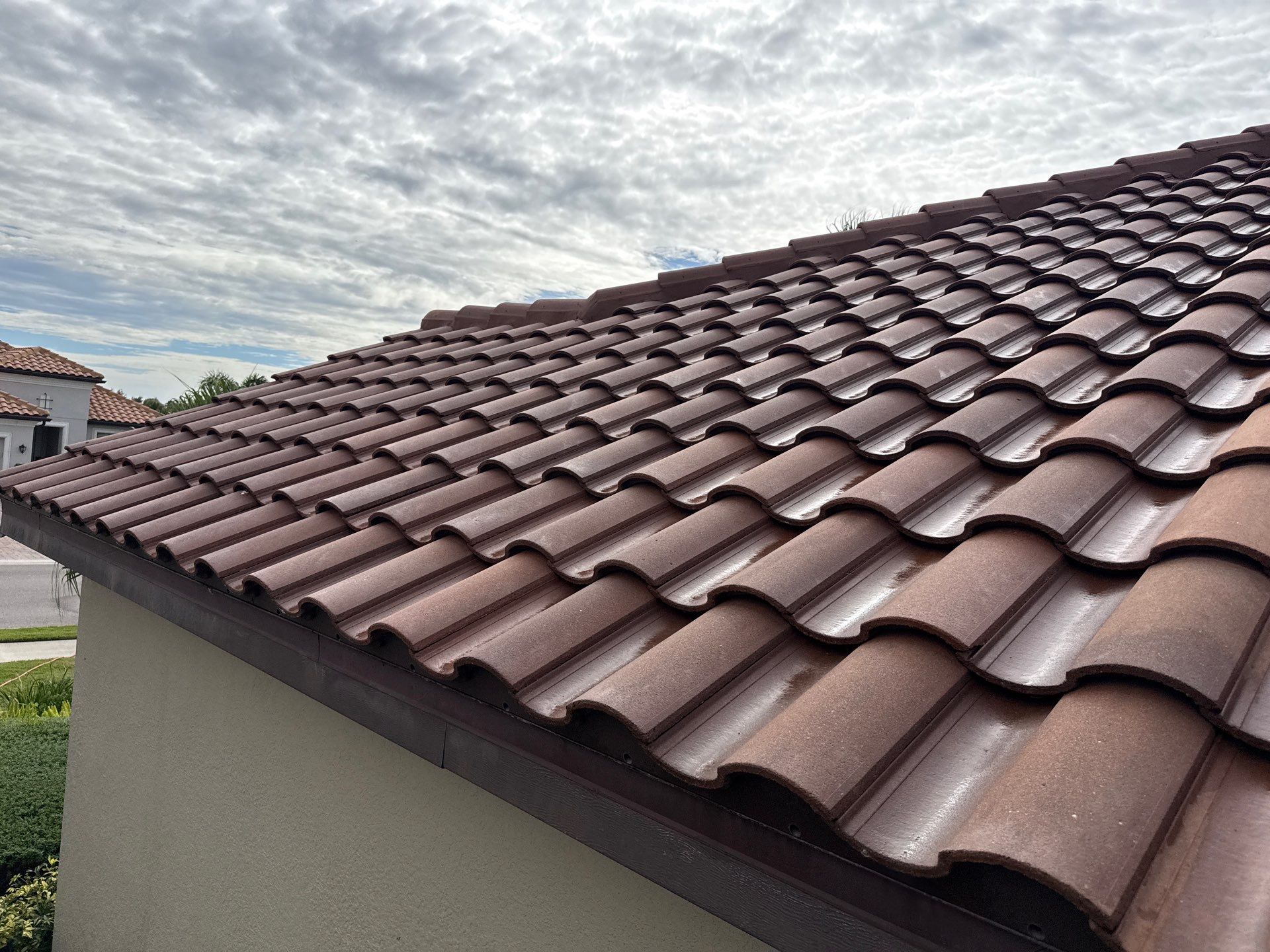 🌿 Tile Roof Cleaning in Lakewood Ranch — Safe for Plants & Tortoise-Friendly! 🐢✨ by Sunshine AquaWash