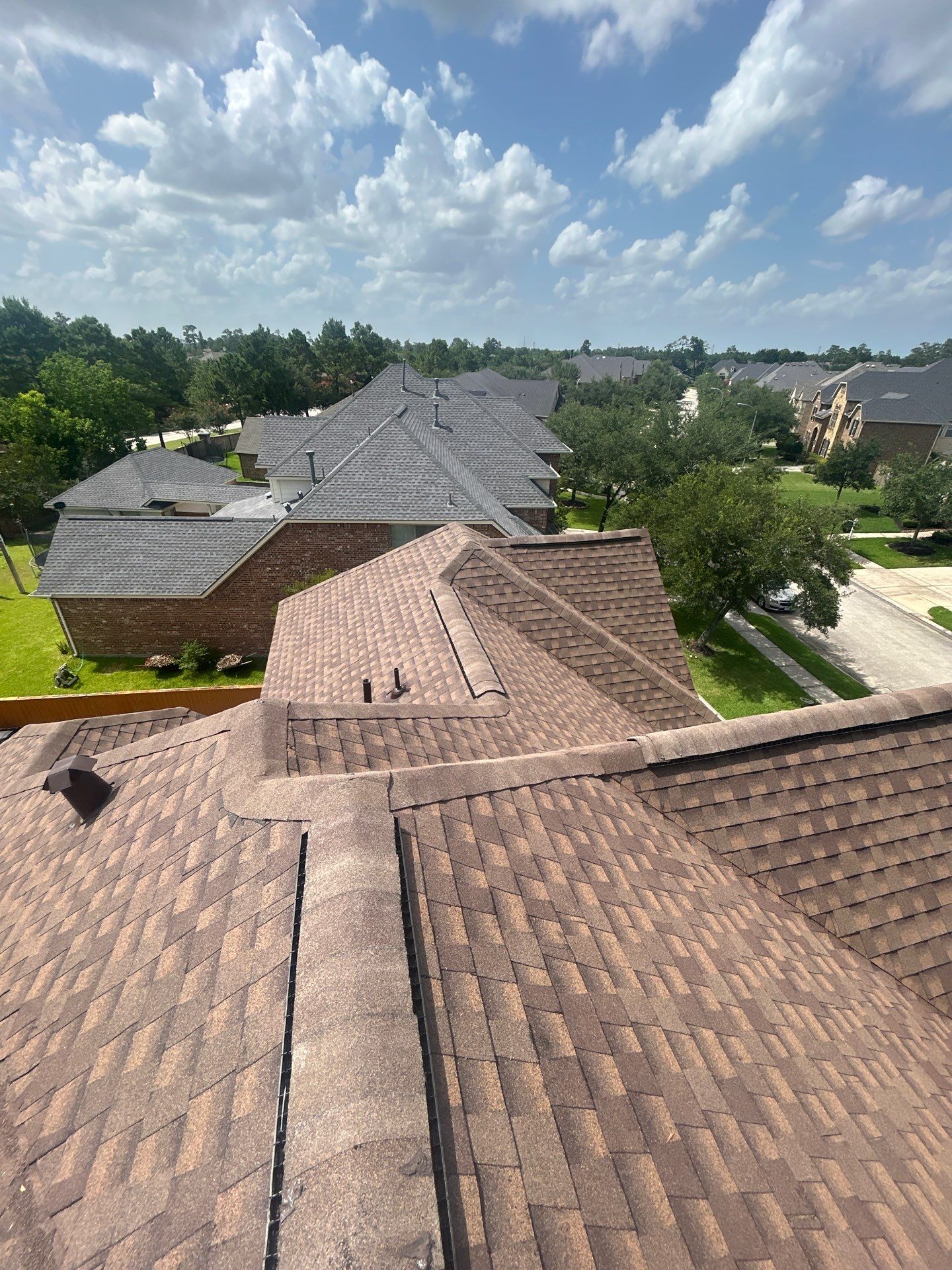 MARY D by Boss Hogg Roofing