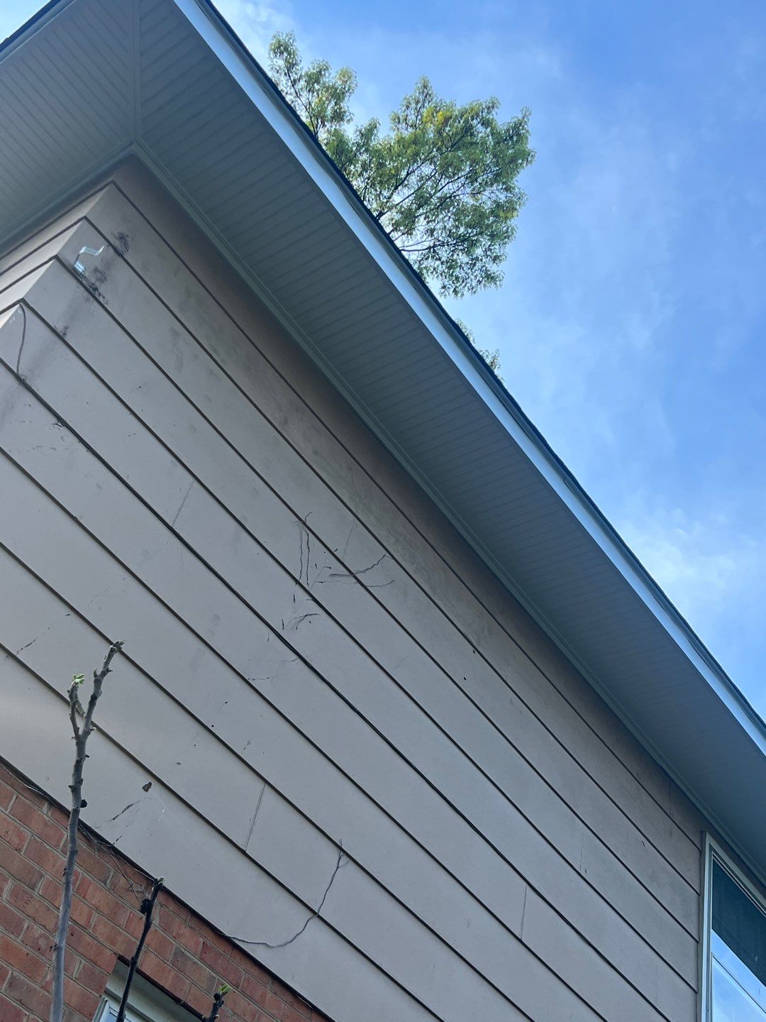 Arlington: Multi-Trade Exterior Remodel by RM Banning, Inc.