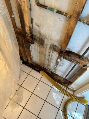 Project by BlueRed Restoration