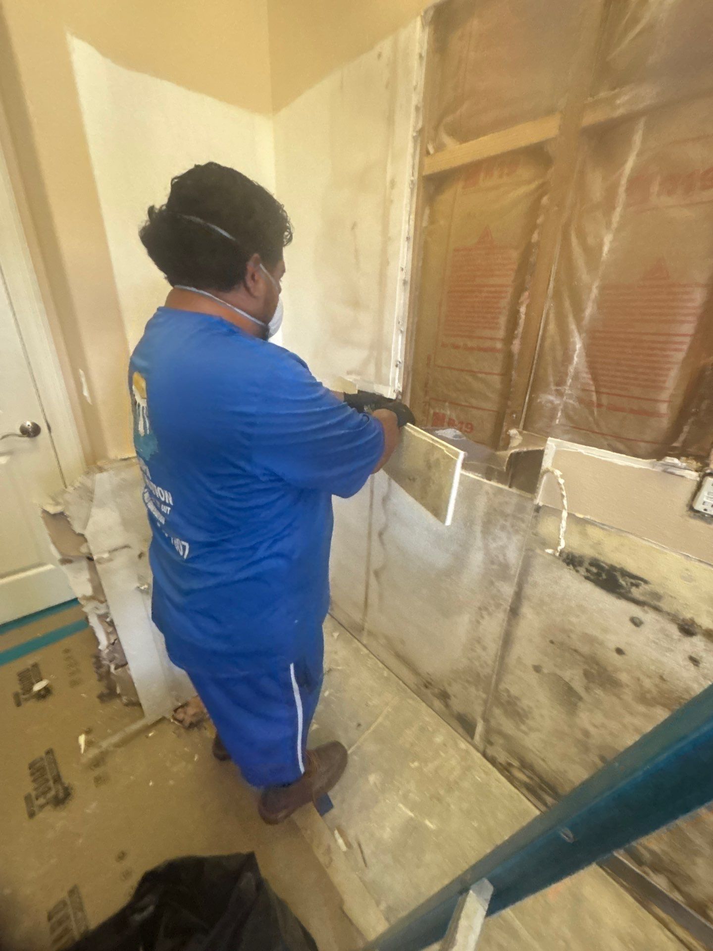 Mold Damage Inspection & Removal In Parrish, FL by Ampm Restoration Services