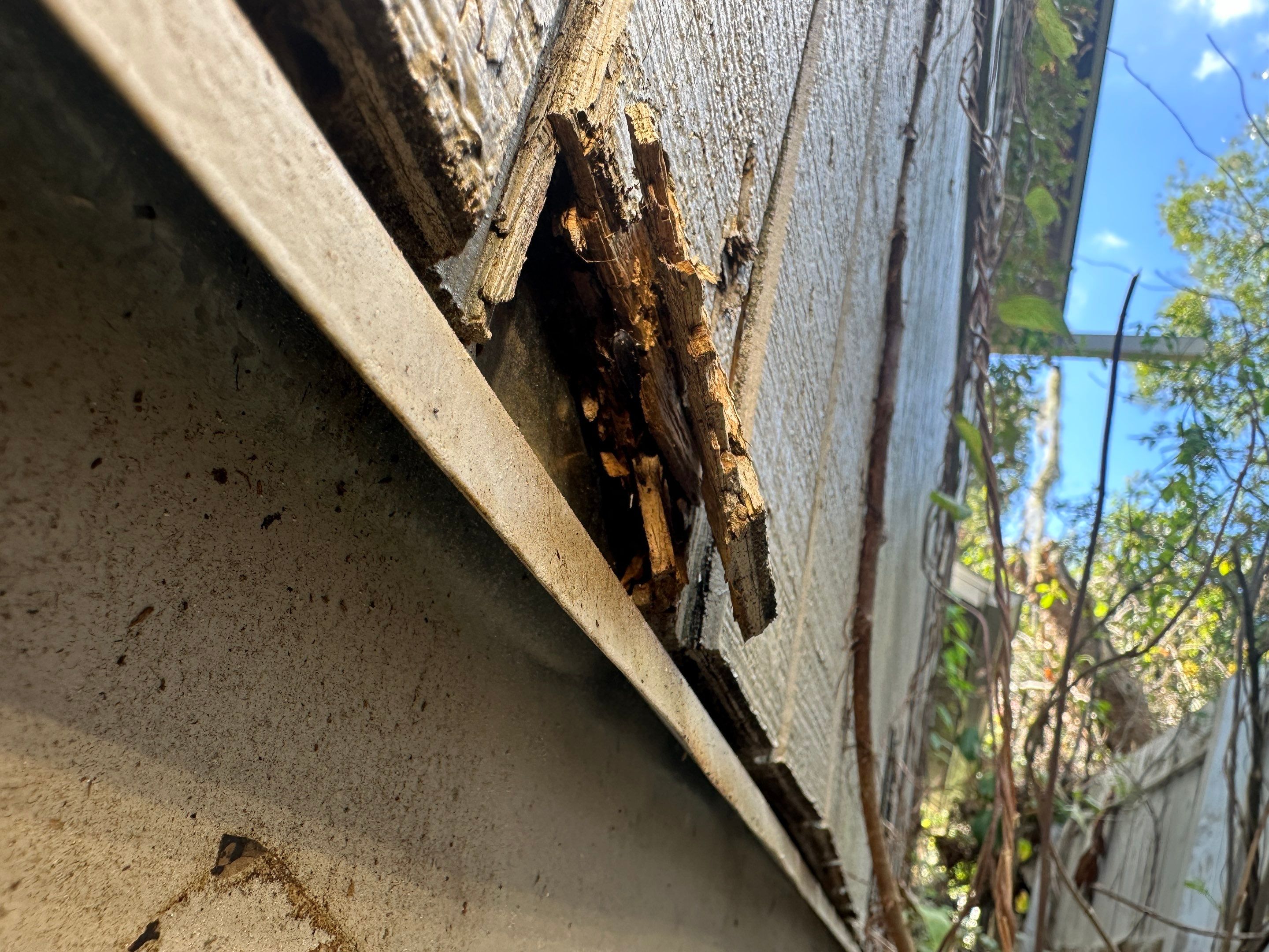 Water Damage Claim in Lutz by FLAPA & KeyStone