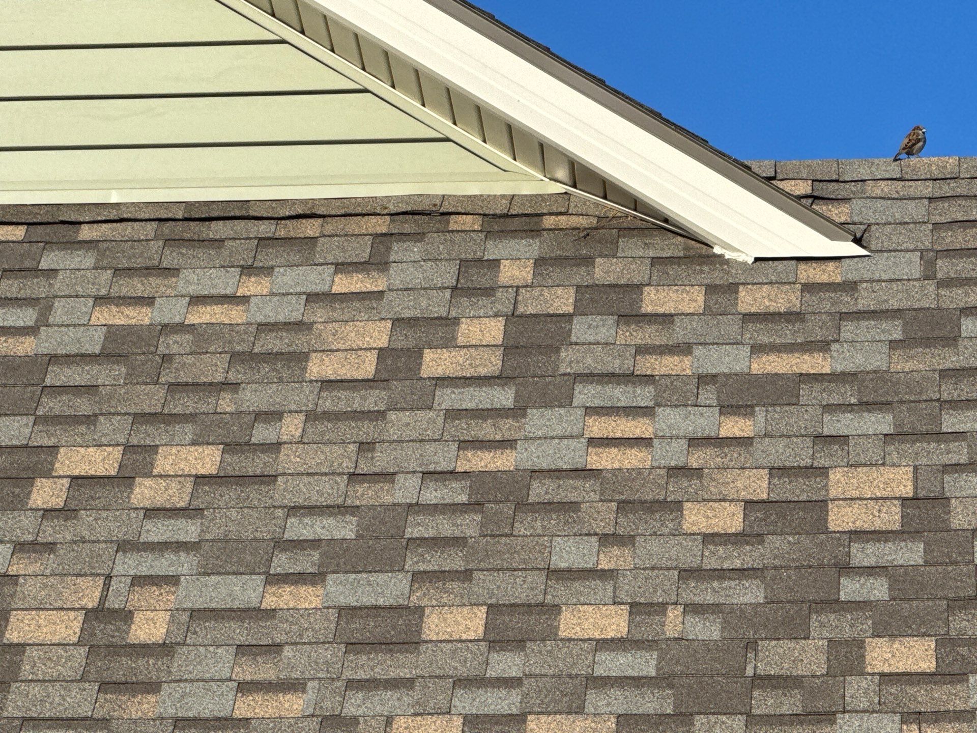 Comprehensive Residential Roof and Siding Replacement in Smithville Missouri by EEC Windows, Siding & Roofing