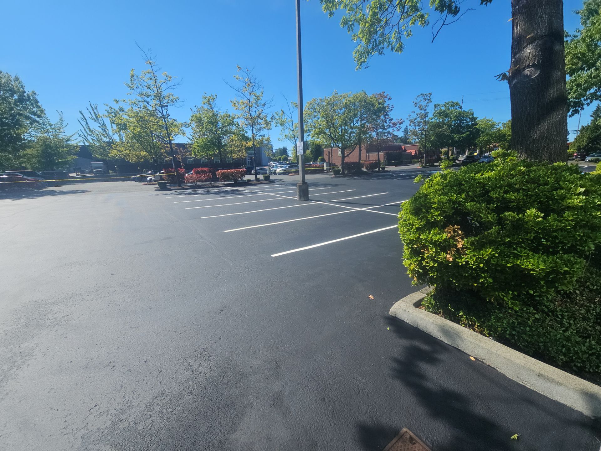 Sealcoat Parking Lot Renovation | Everett  by Jireh Asphalt & Concrete Inc 