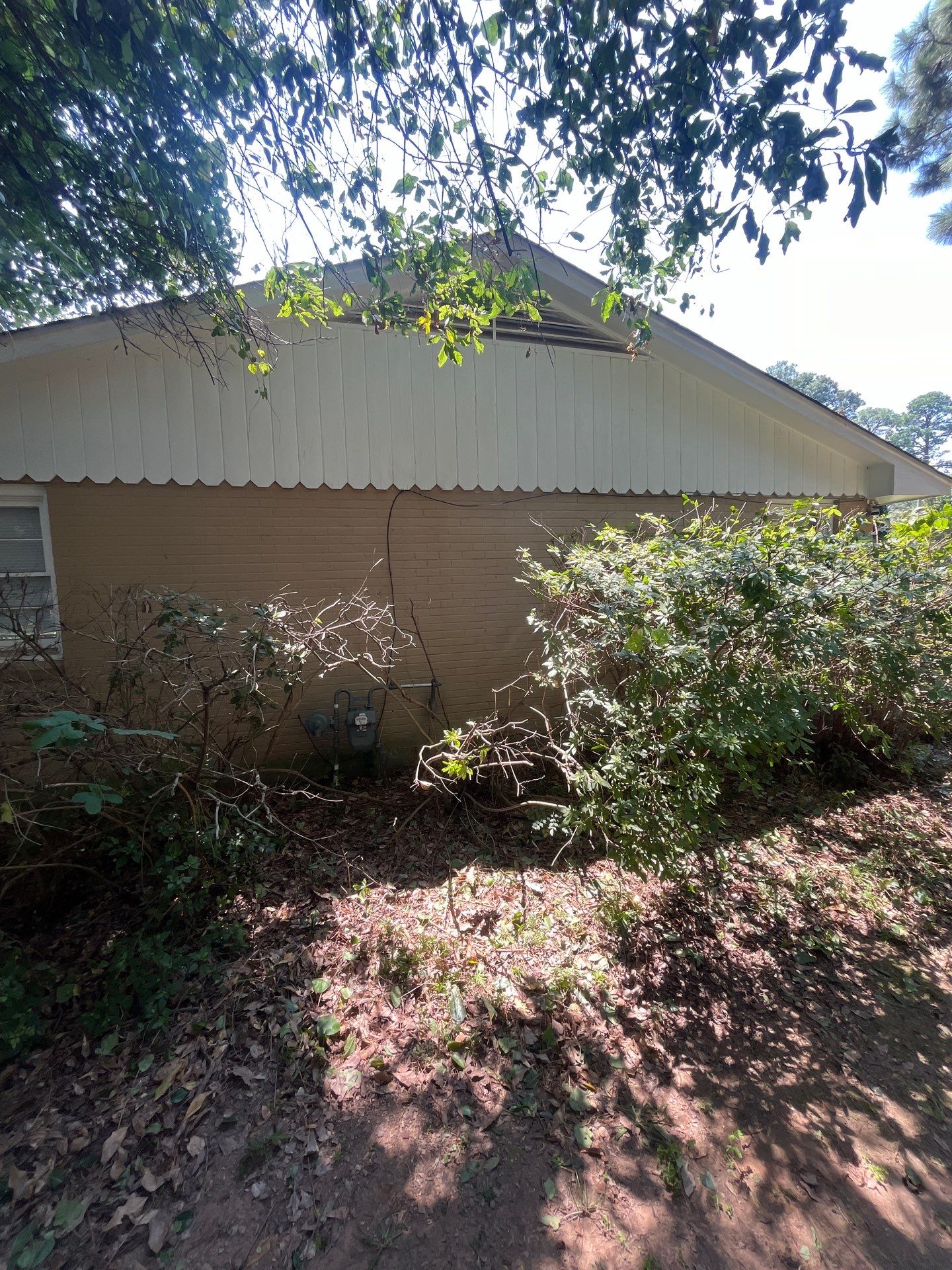 Yard Makeover by College Bros Outdoor services