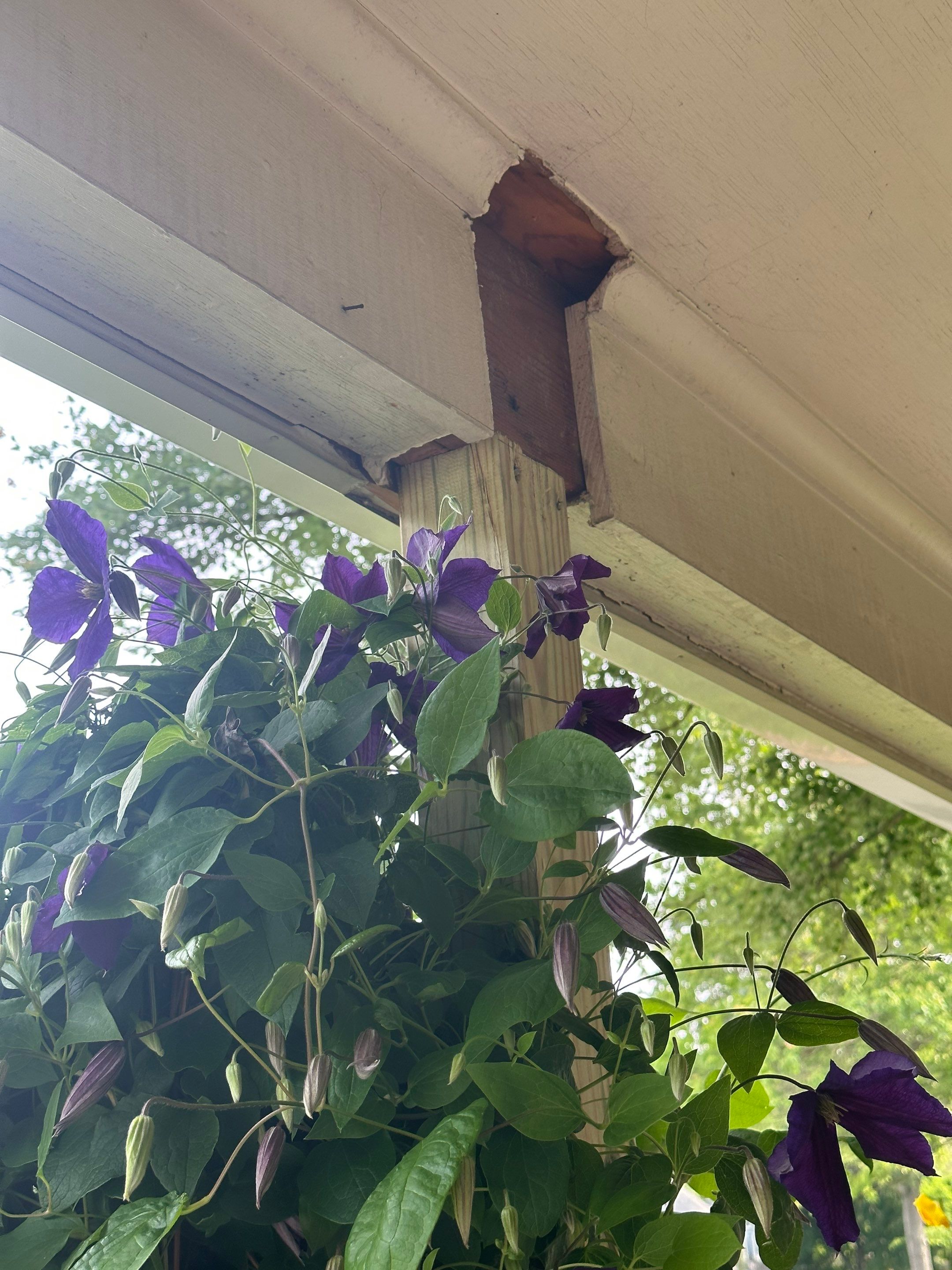 New Bilco doors to basement & new front porch posts by The Smet Companies, LLC