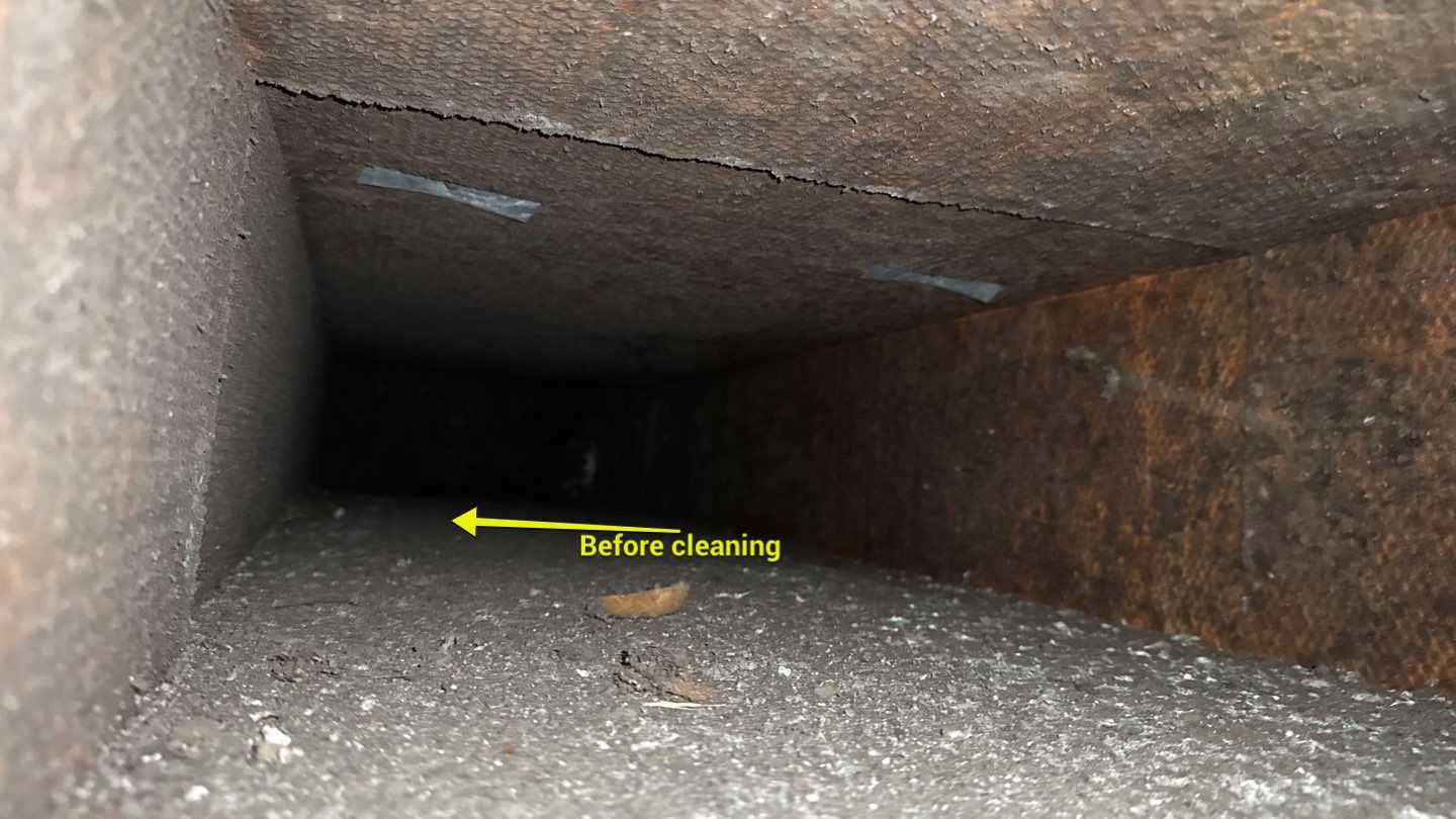 Extremely Dirty Air Duct Cleaning in Fruitland Park by Hygienic Air, Inc