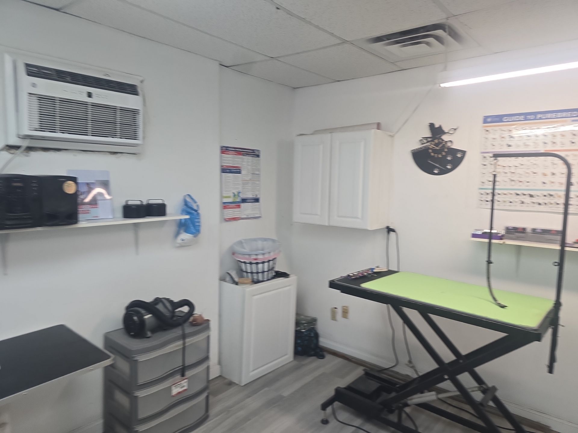 Commercial Interior Painting for Hillsdale Pet Grooming Facility by Spectrum Painting, LLC