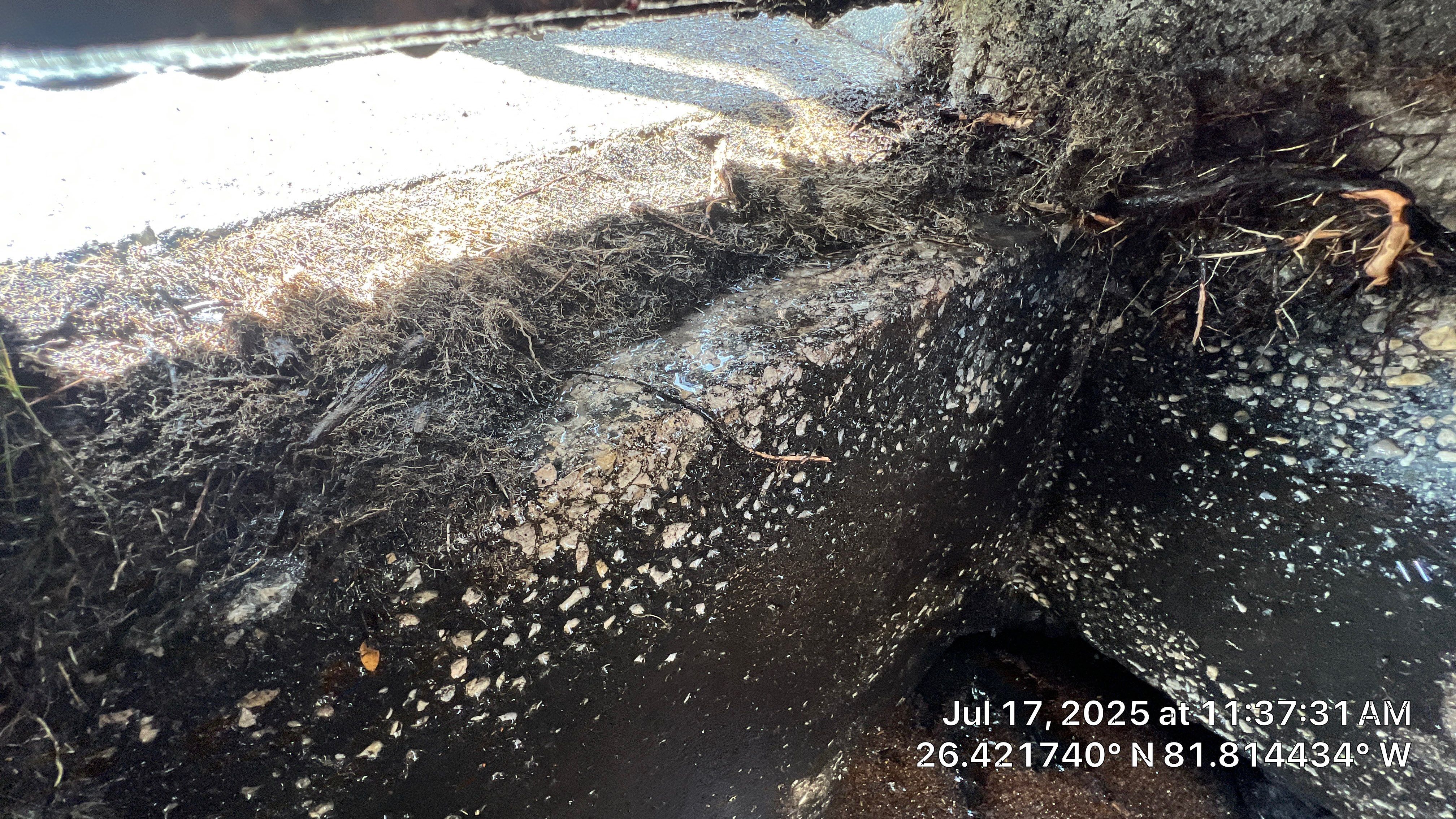 Catch Basin Cleaning with 1 Tom Plumber in Estero by APS Power & Water