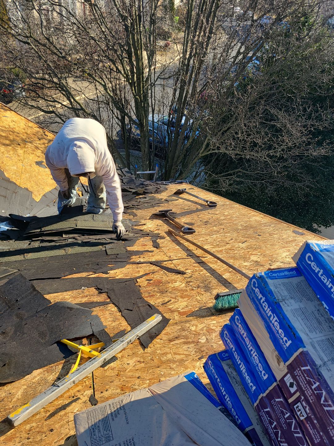 Alexandria CertainTeed Landmark Pro Roof in Max Def Pewterwood  by RM Banning, Inc.