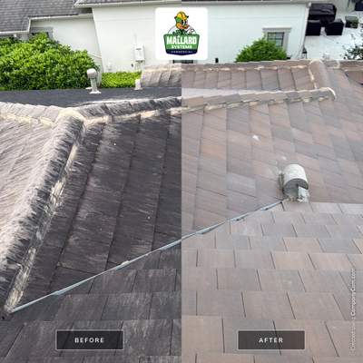 Tile Roof Cleaning in Winter Park