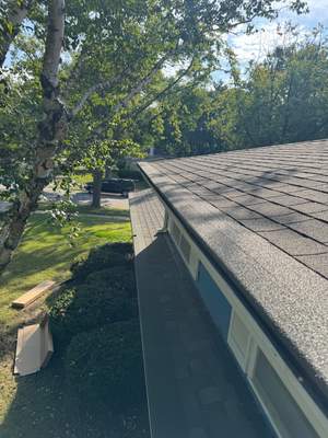 Turtle Shell gutter protection installation in Naperville, IL 60565, photograph 20