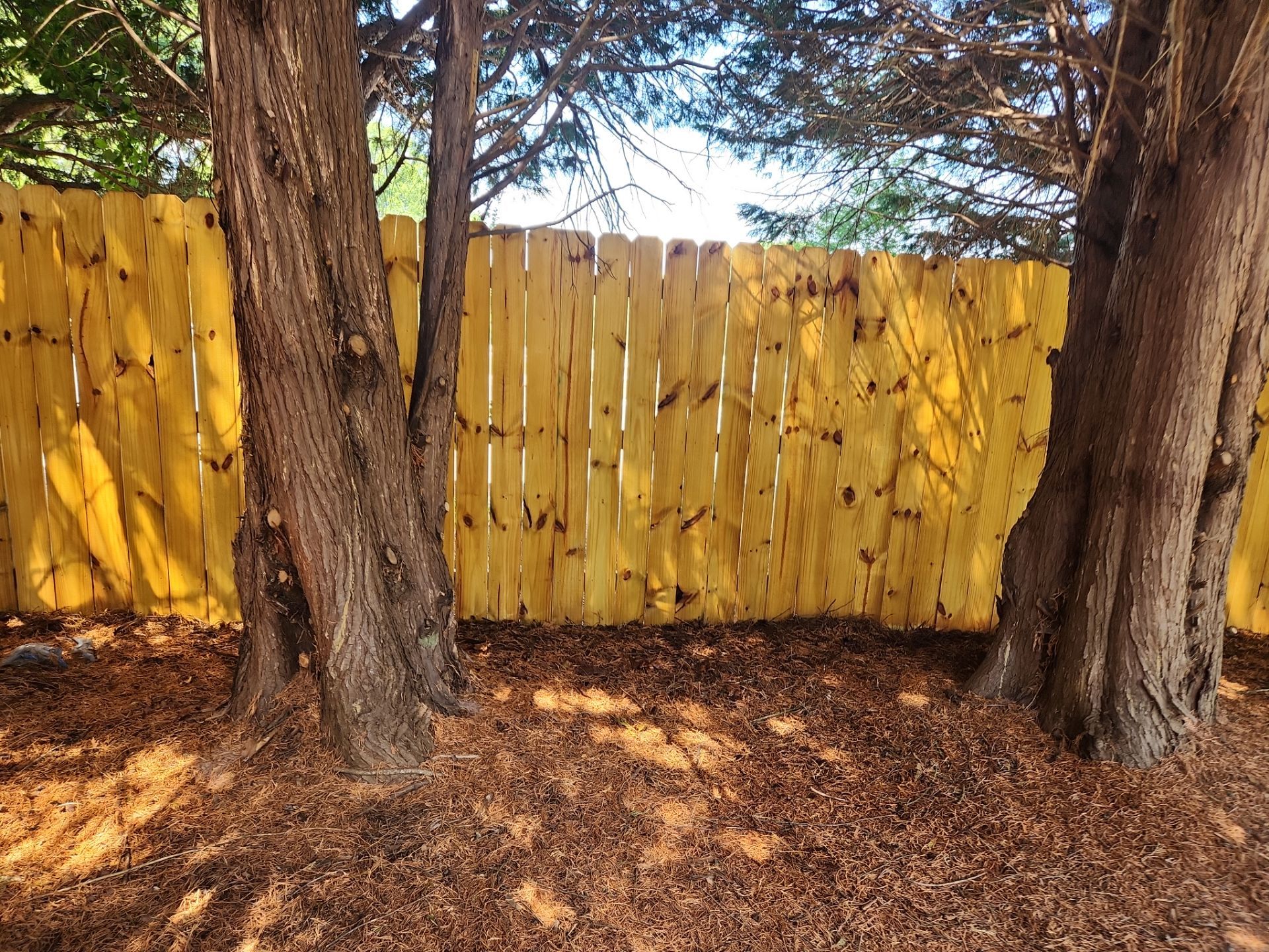 Fence using Wood Sealant by DuraSeal