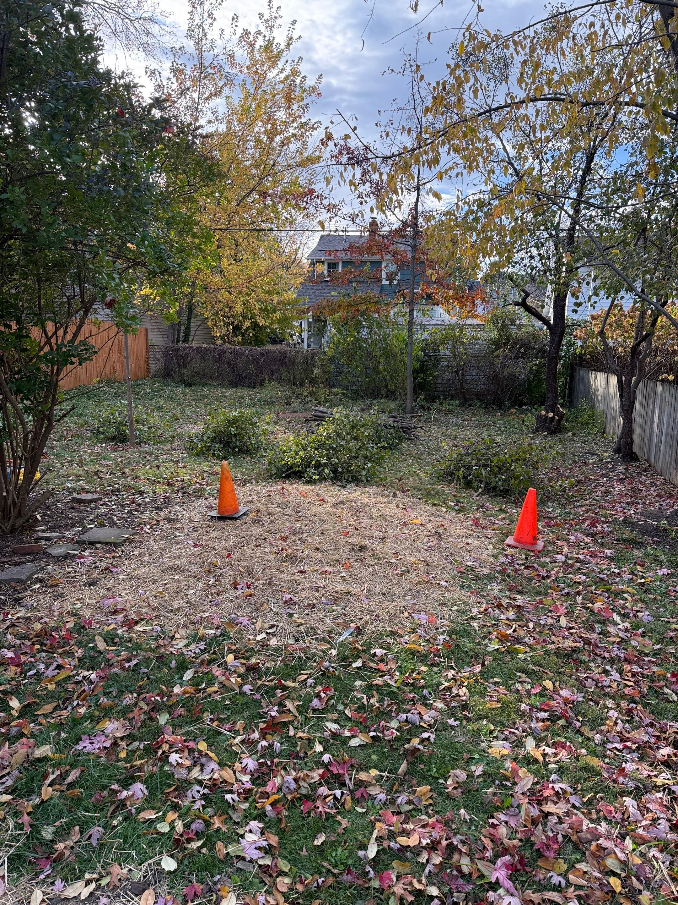 Cottage Maintenance by Elm Rose Gardens