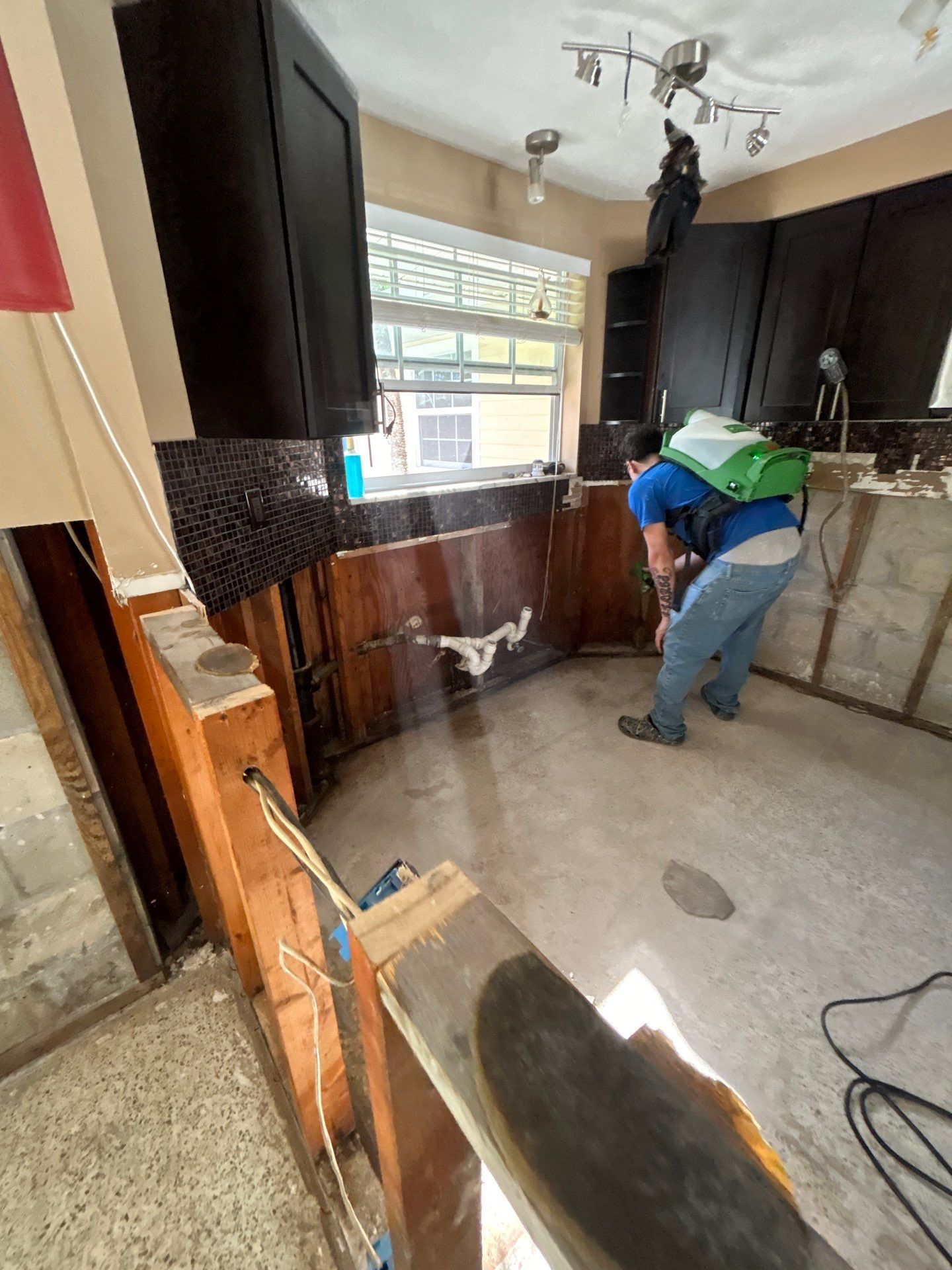 Mold Remediation + Reconstruction Bradenton by Ampm Restoration Services