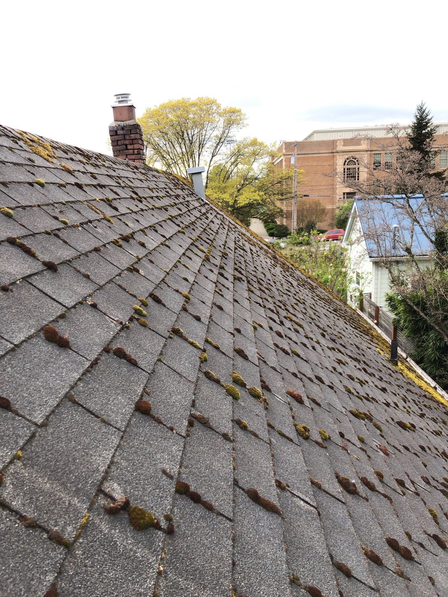 Project in Seattle by Connolly Construction Company