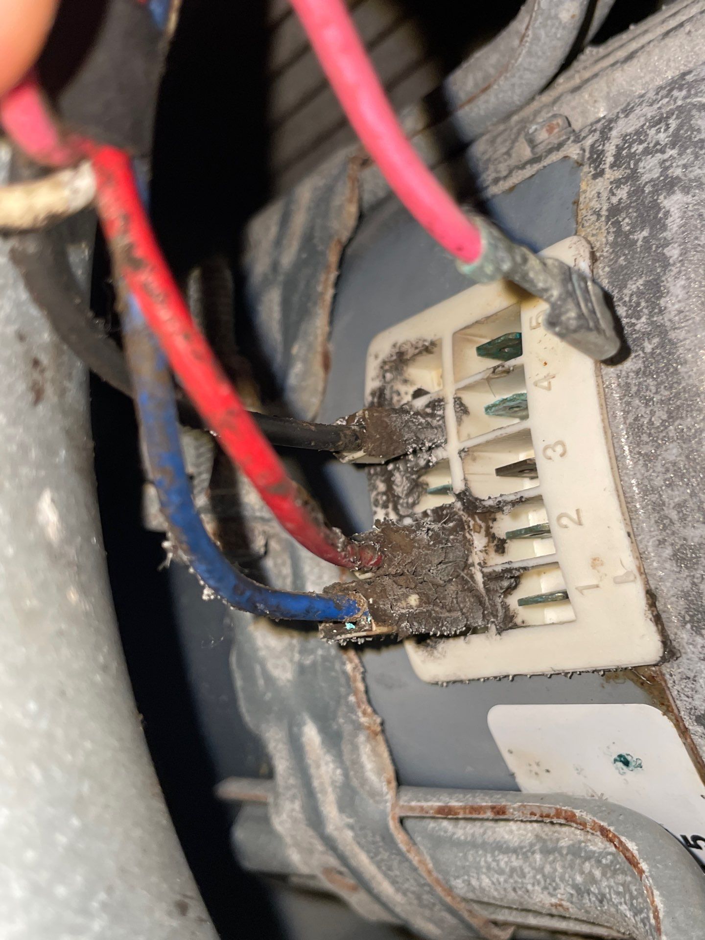Commercial Air Duct Cleaning in Tavares by Hygienic Air, Inc