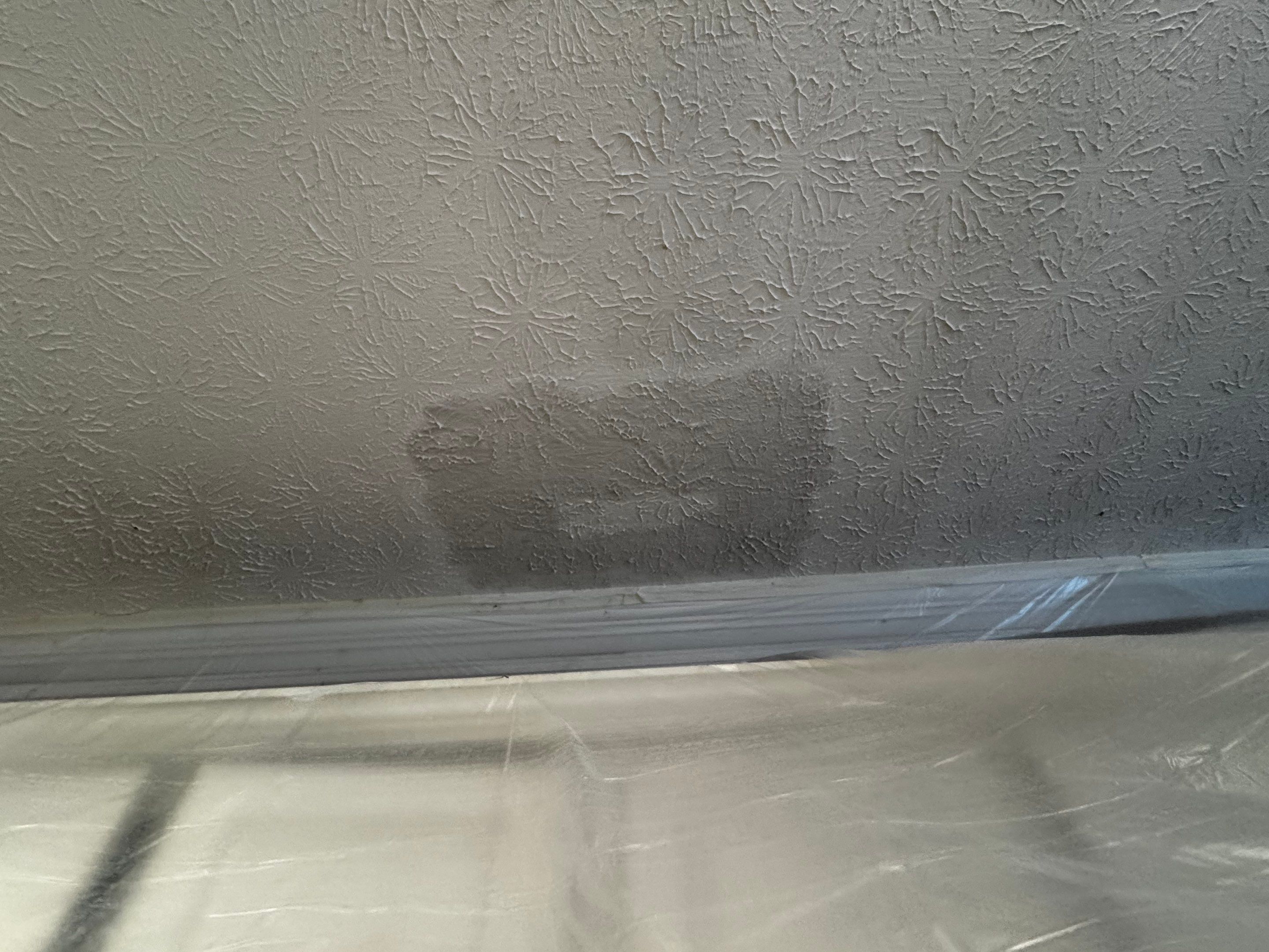 Kitchen Ceiling Repair and Interior Painting in McDonough by PGP Surface Solutions, LLC