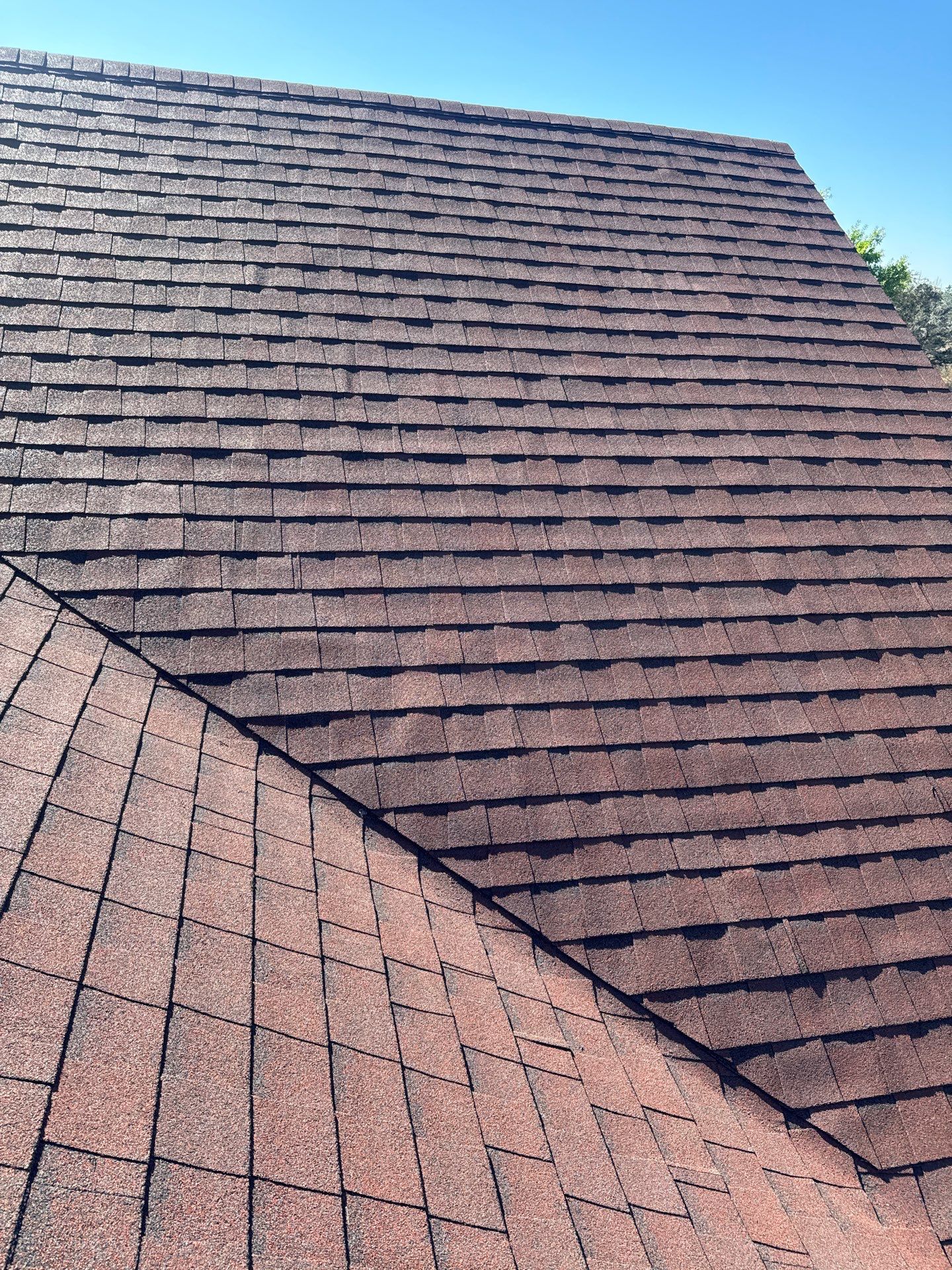 Shingle Reroof Replacement Orlando FL by Pinnacle Roofing Group