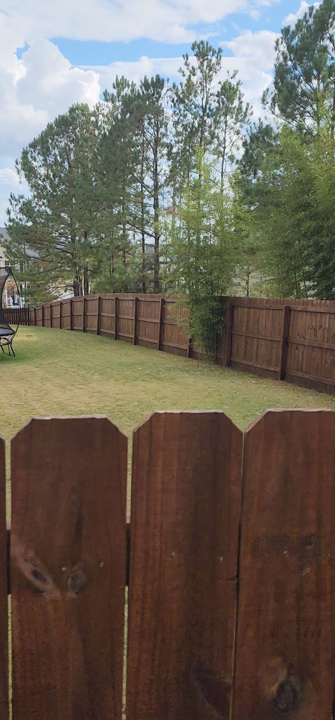 Fence Stained using Pecan Semi-Transparent by SSE by Titans of Timber Fence & Stain