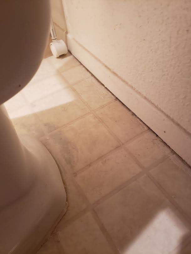 Various Plumbing & Flooring Tasks by Bayfront Home Repair