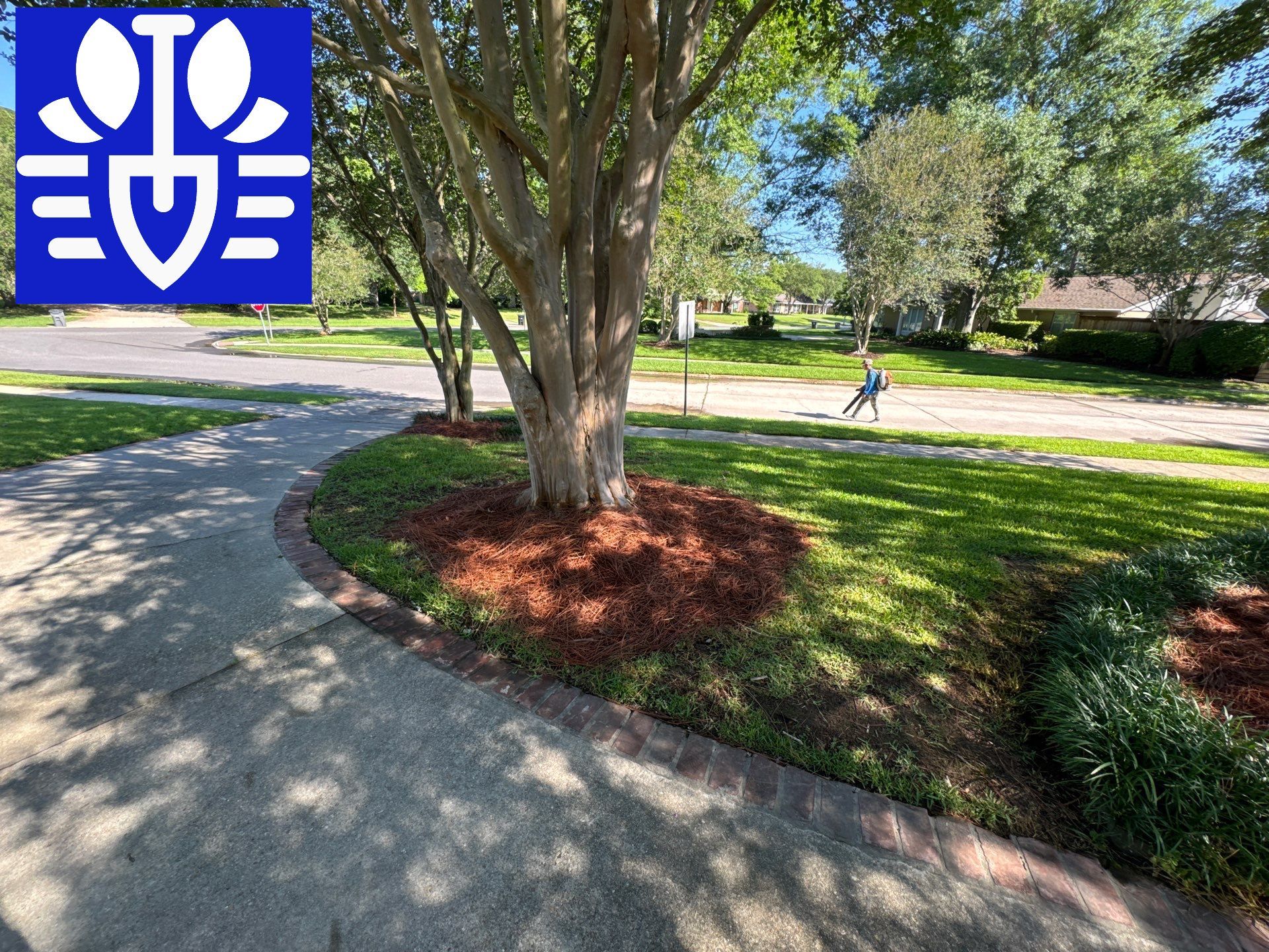 RESIDENTIAL LAWN, MAINTENANCE AND LANDSCAPING by CutScape, LLC.