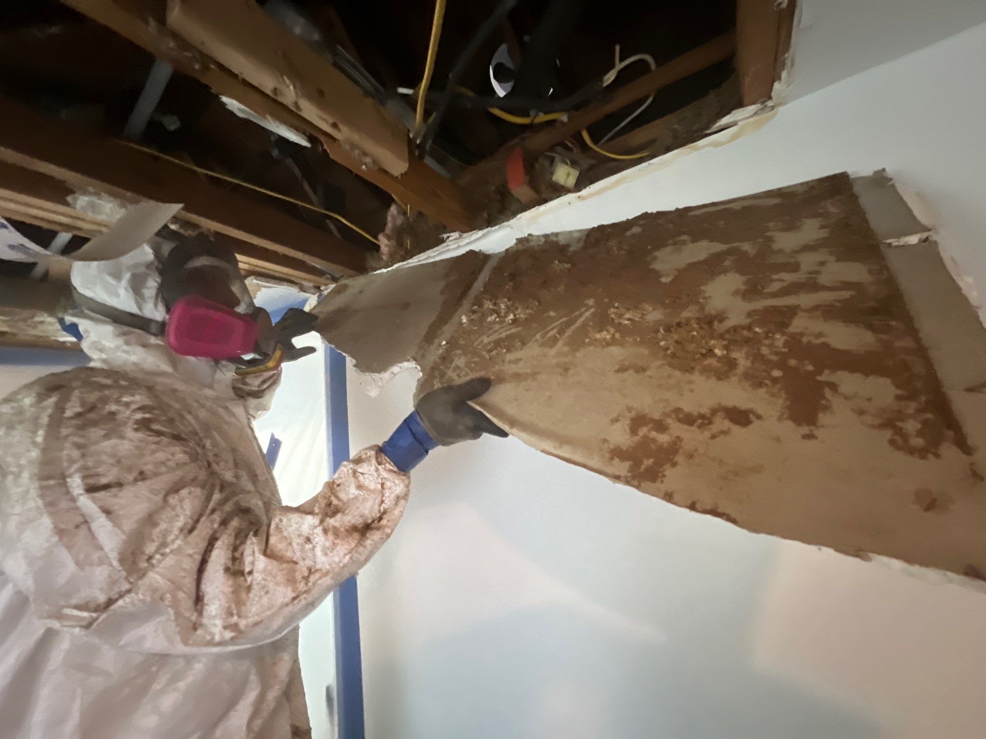Windstorm Damage & Multi-Room Water Mitigation in St. Petersburg by Right On Time Restoration