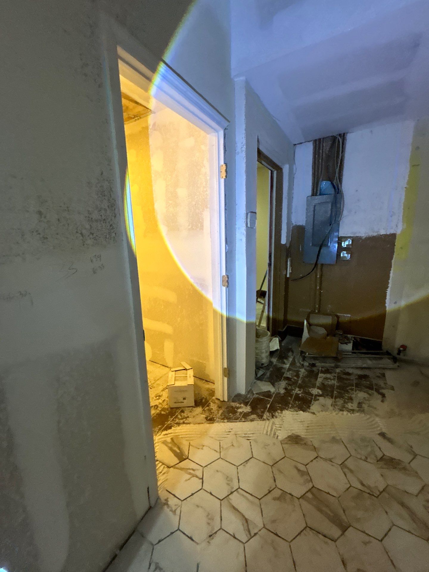 Commercial Building Mold Removal In Clearwater by Ampm Restoration Services