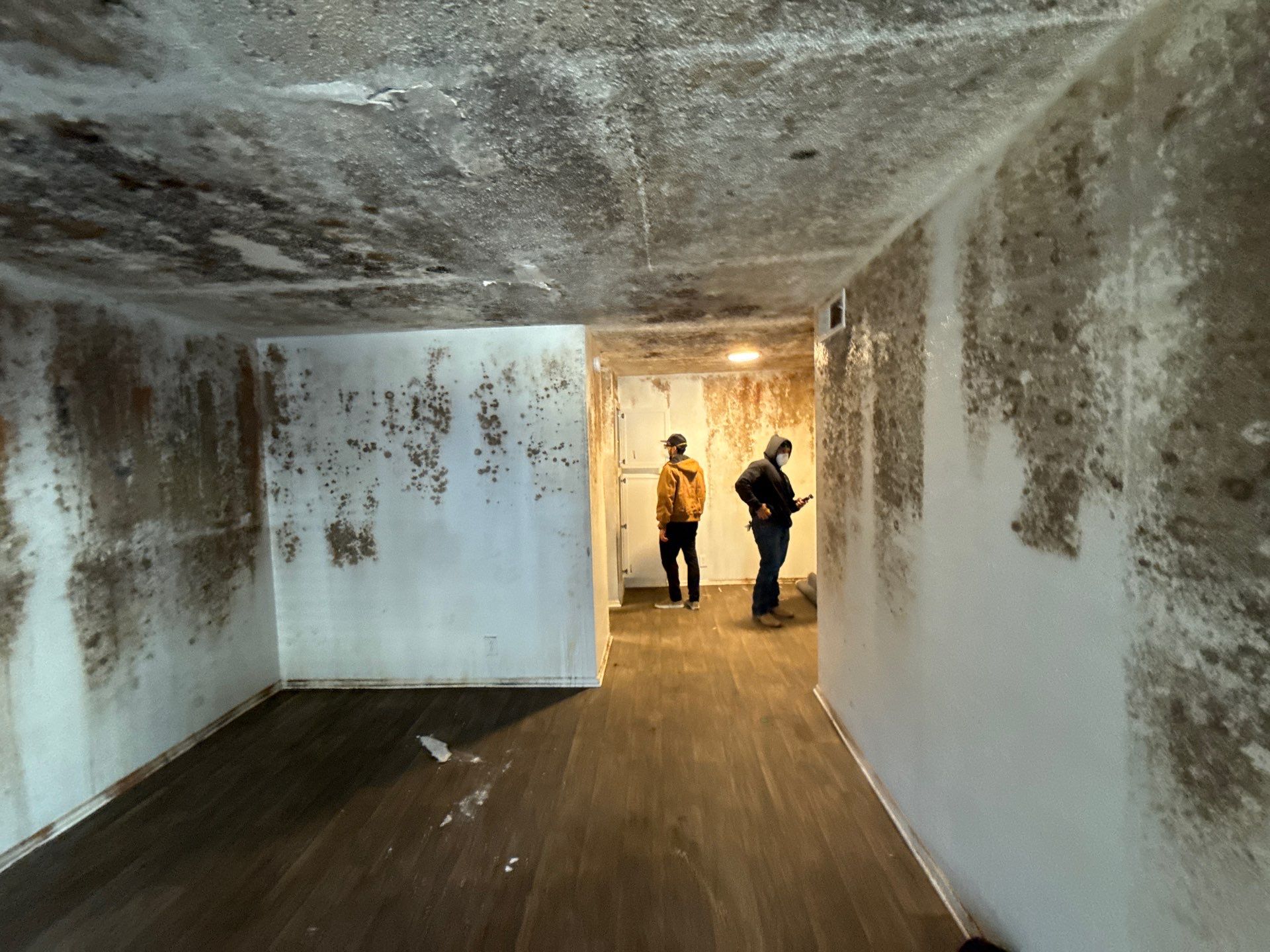 The Slate by Disaster Recovery Consultants