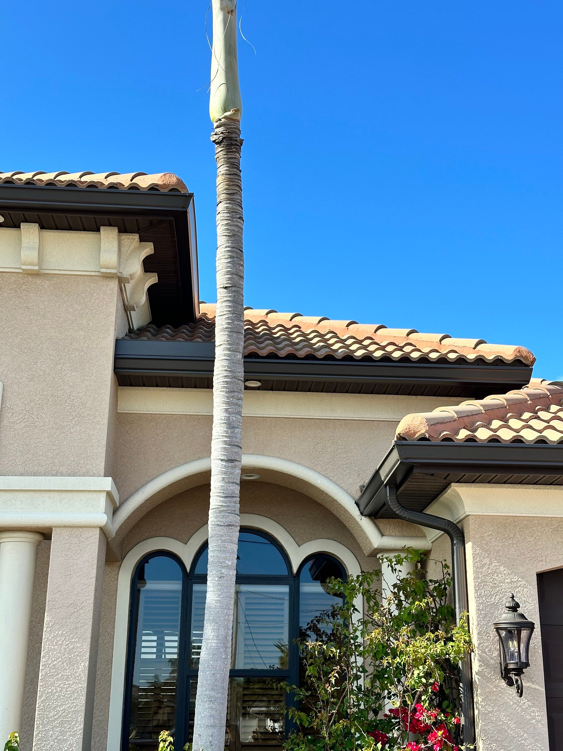 Bronze Downspout Installation in Cape Coral FL by Gutter Professors