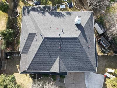 Brilliant Black - Malarkey Highlander