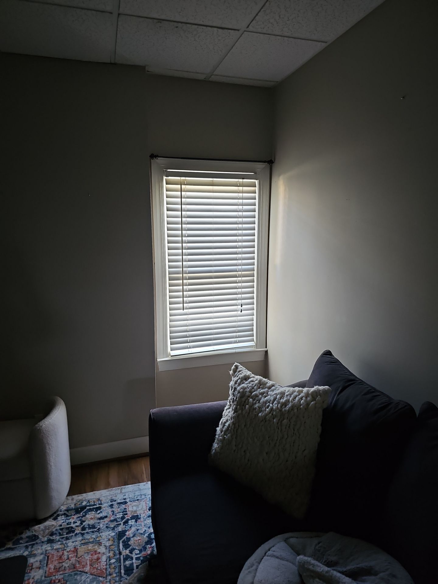 Brown Project In Vestavia Hills by The Window Source