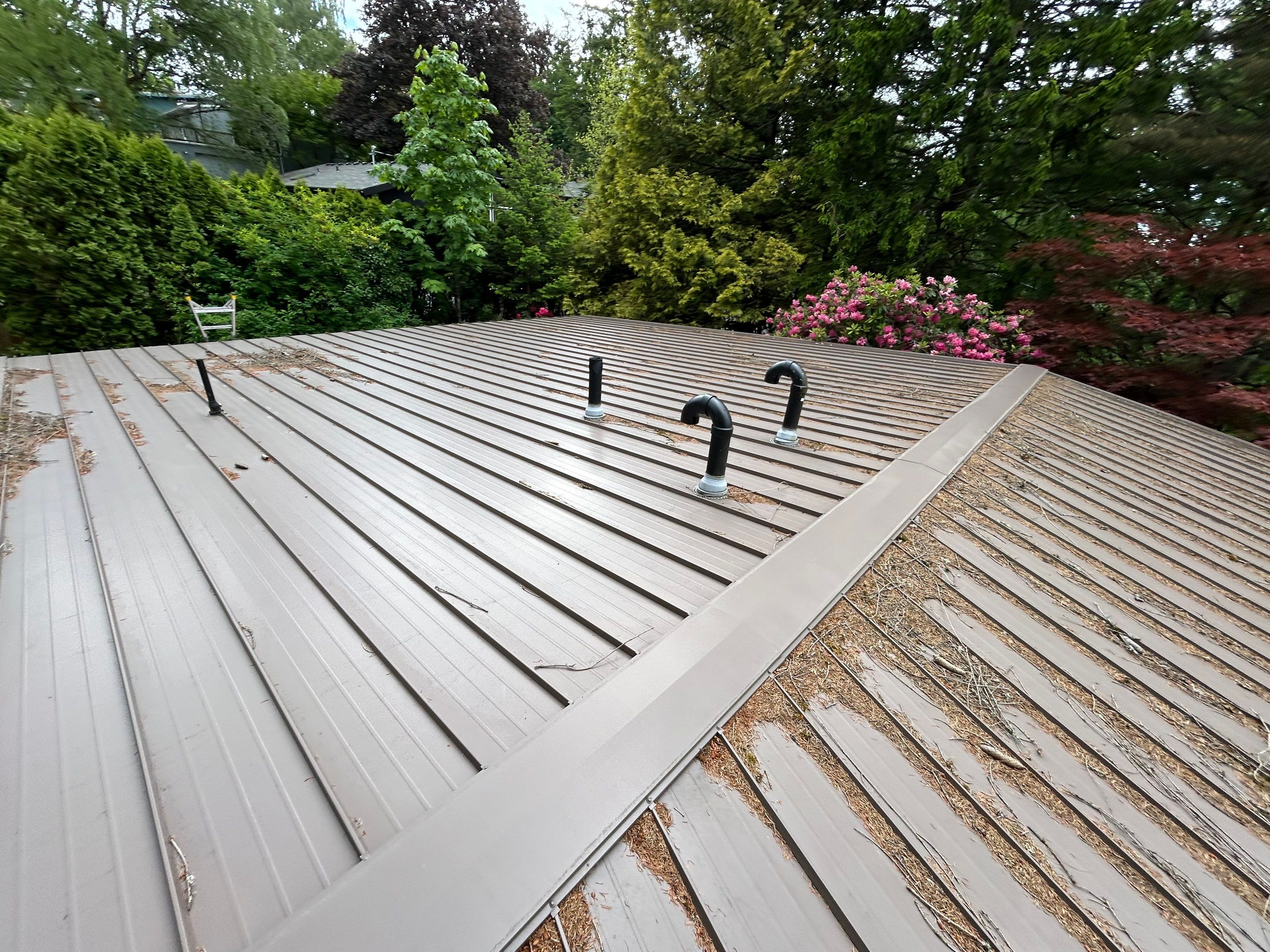 Roof Cleaning in Portland by Prodigy Roof Solutions