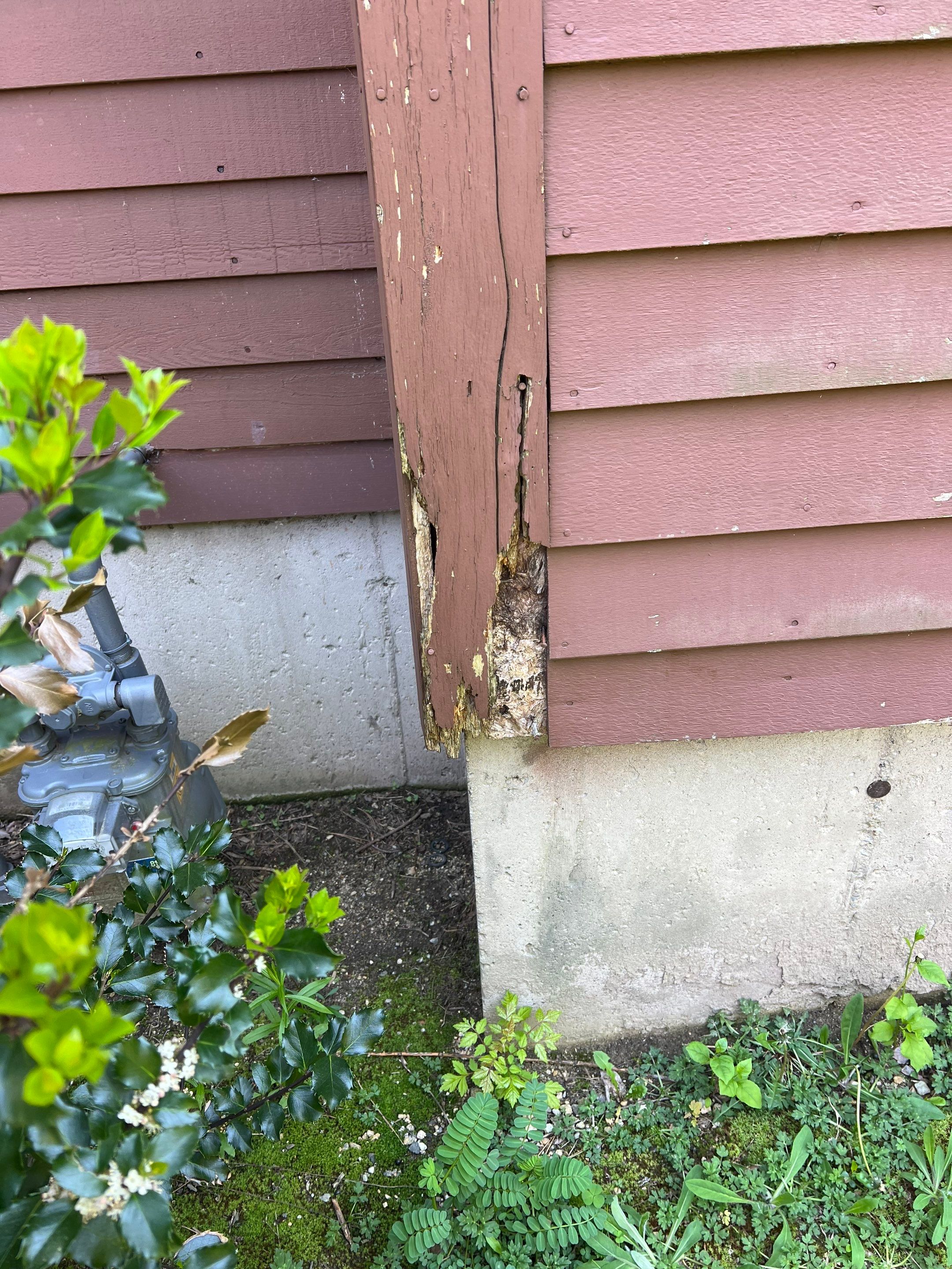 Siding | Methuen by Mighty Dog Roofing of Greater Middlesex County