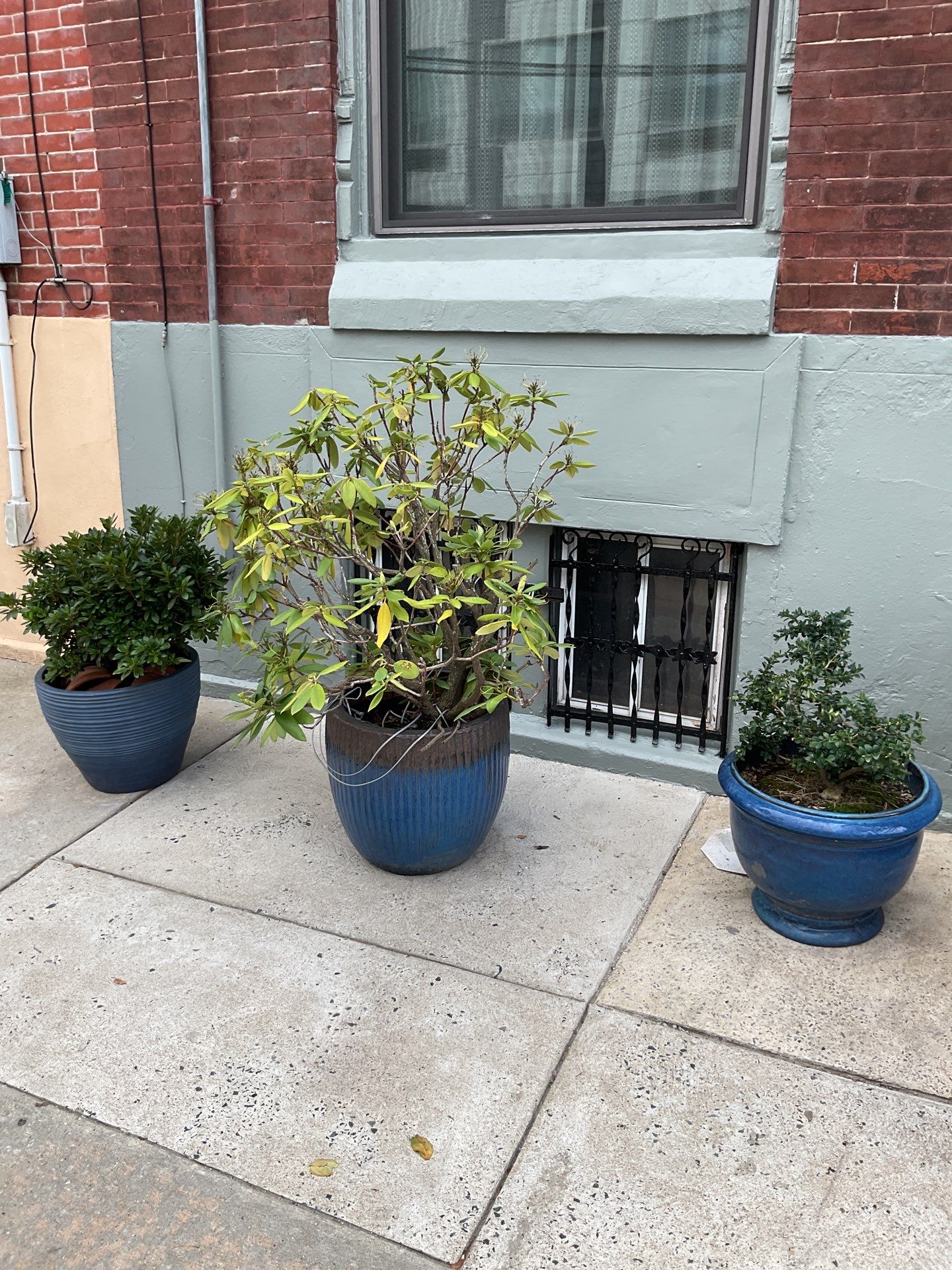 Full Exterior and Interior Refresh in Point Breeze  by Groovy Hues