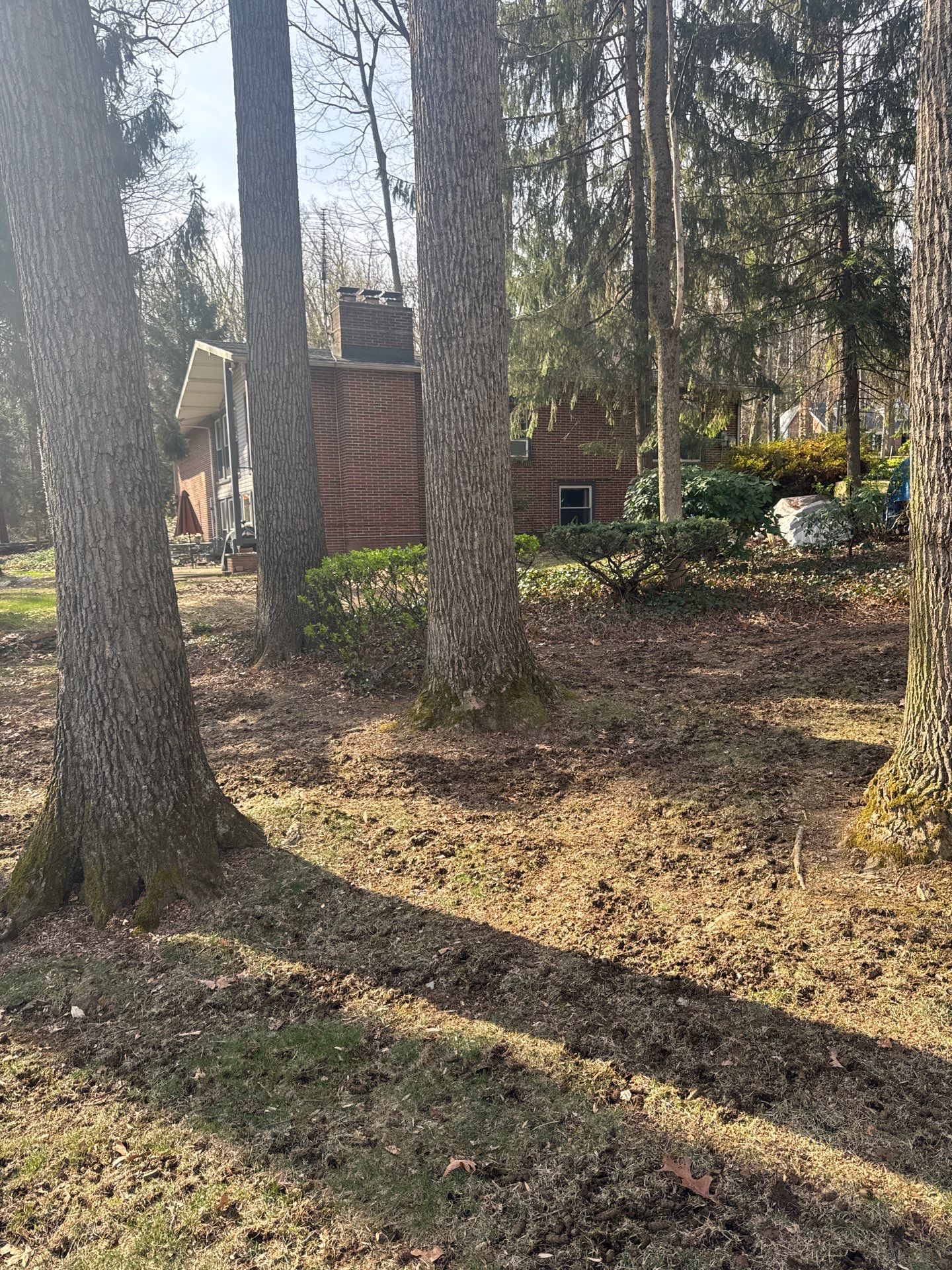 East York Pa by Go Green CLC