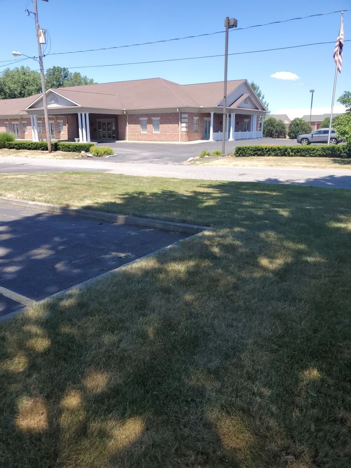 Tree Trimming using Tree Pruing by Mike Jones & Sons Tree Service LLC 