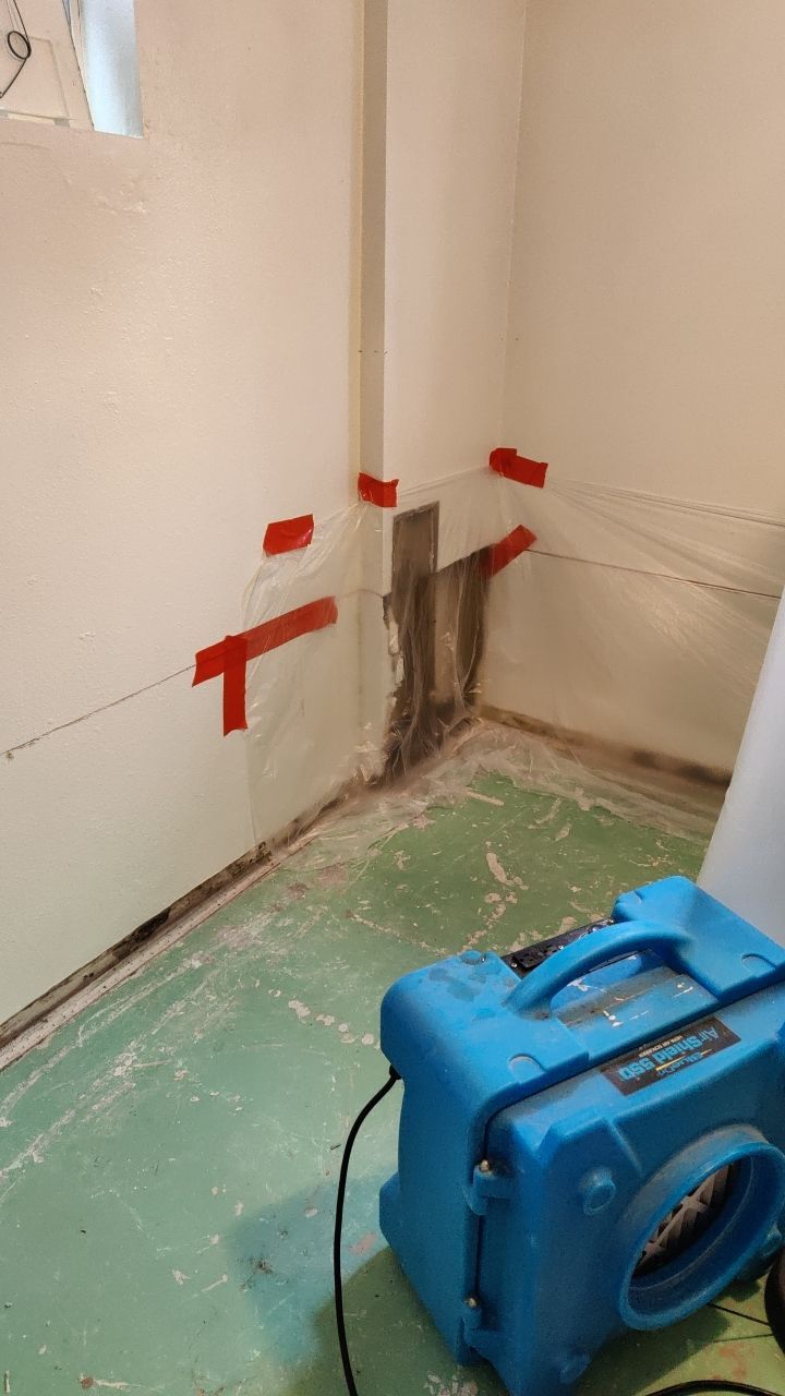 Mold Remediation by Accountable Home Services