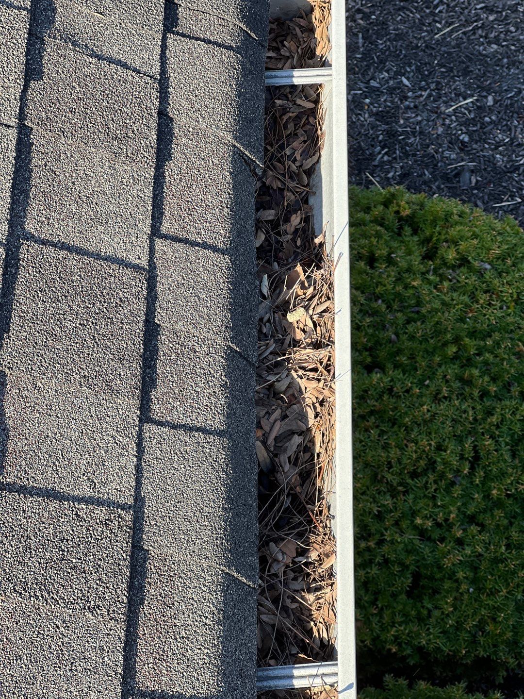 Commercial gutter cleaning Avon, IN before photo with filled gutters