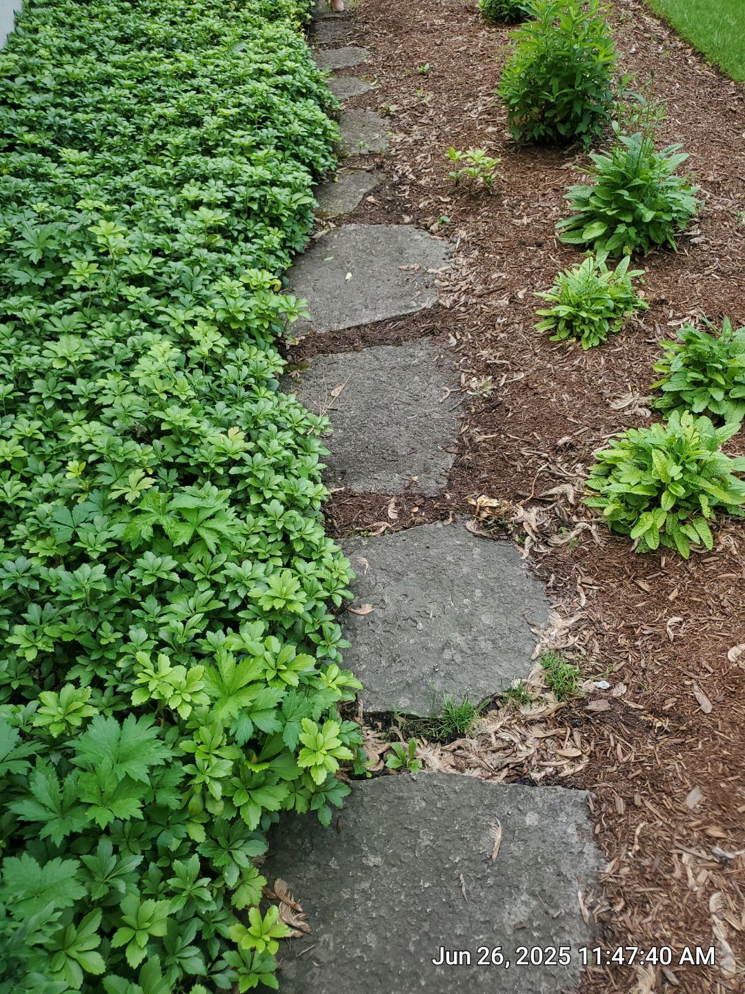 Glenview stone repair, and cleaning by Northern Power Washing LLC.