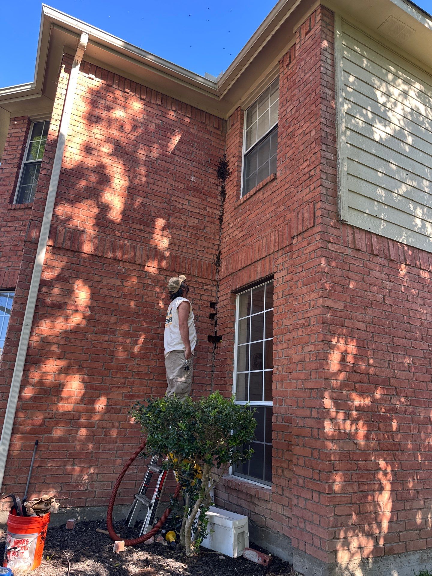 Bees Behind Bricks by Rockwall Honey Bee Company