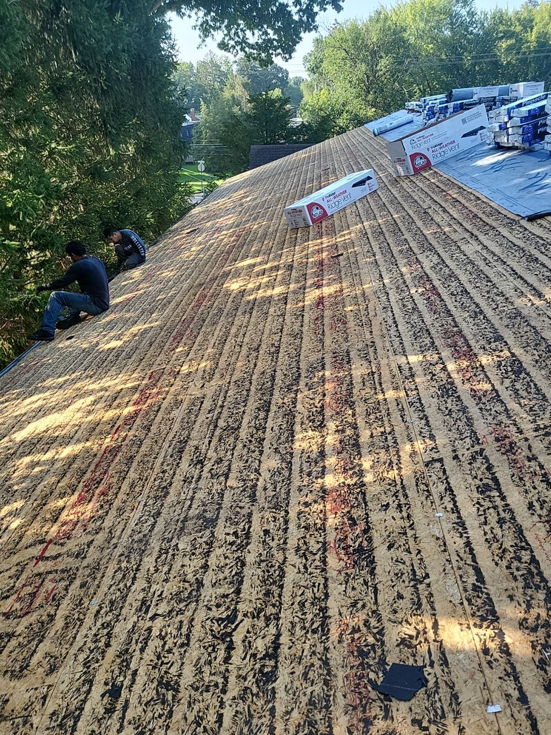ATLAS PINNACLE COLOR: MORNING HARVEST by Eagle Eye Roofing