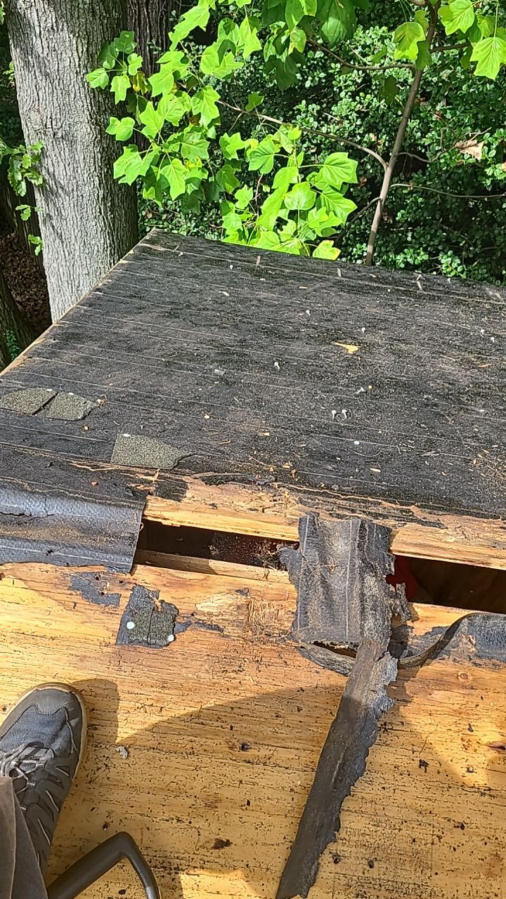 Arlington: CertainTeed Landmark Pro Designer Shingles in Max Def Heather Blend by RM Banning, Inc.