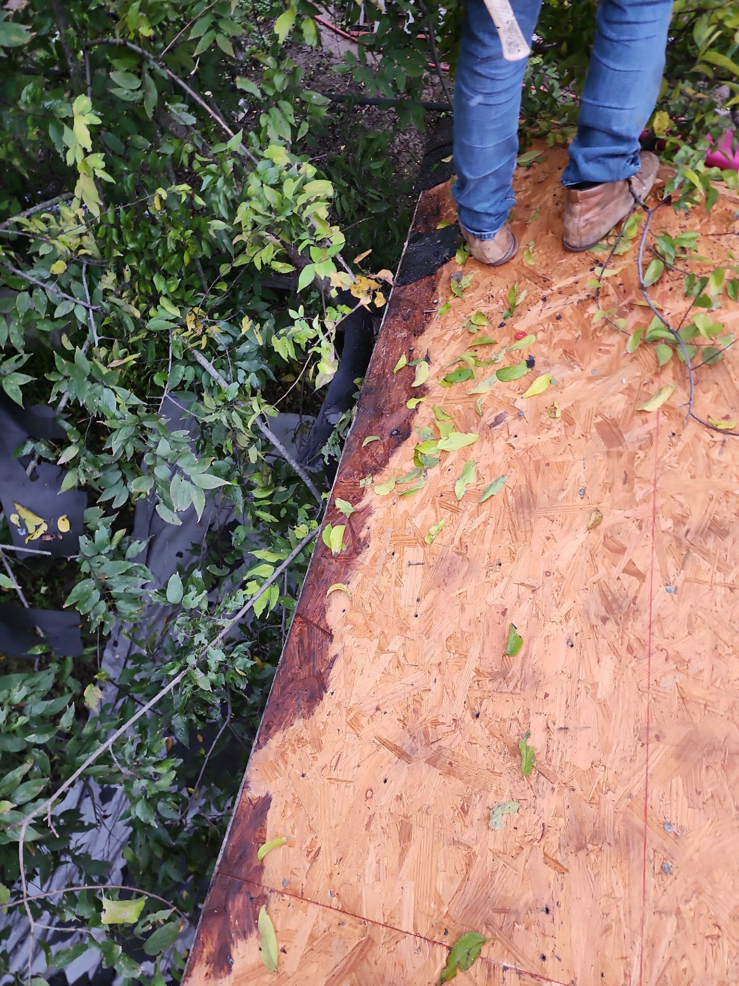 Roof Repair Houston by Roof Repair Services LLC